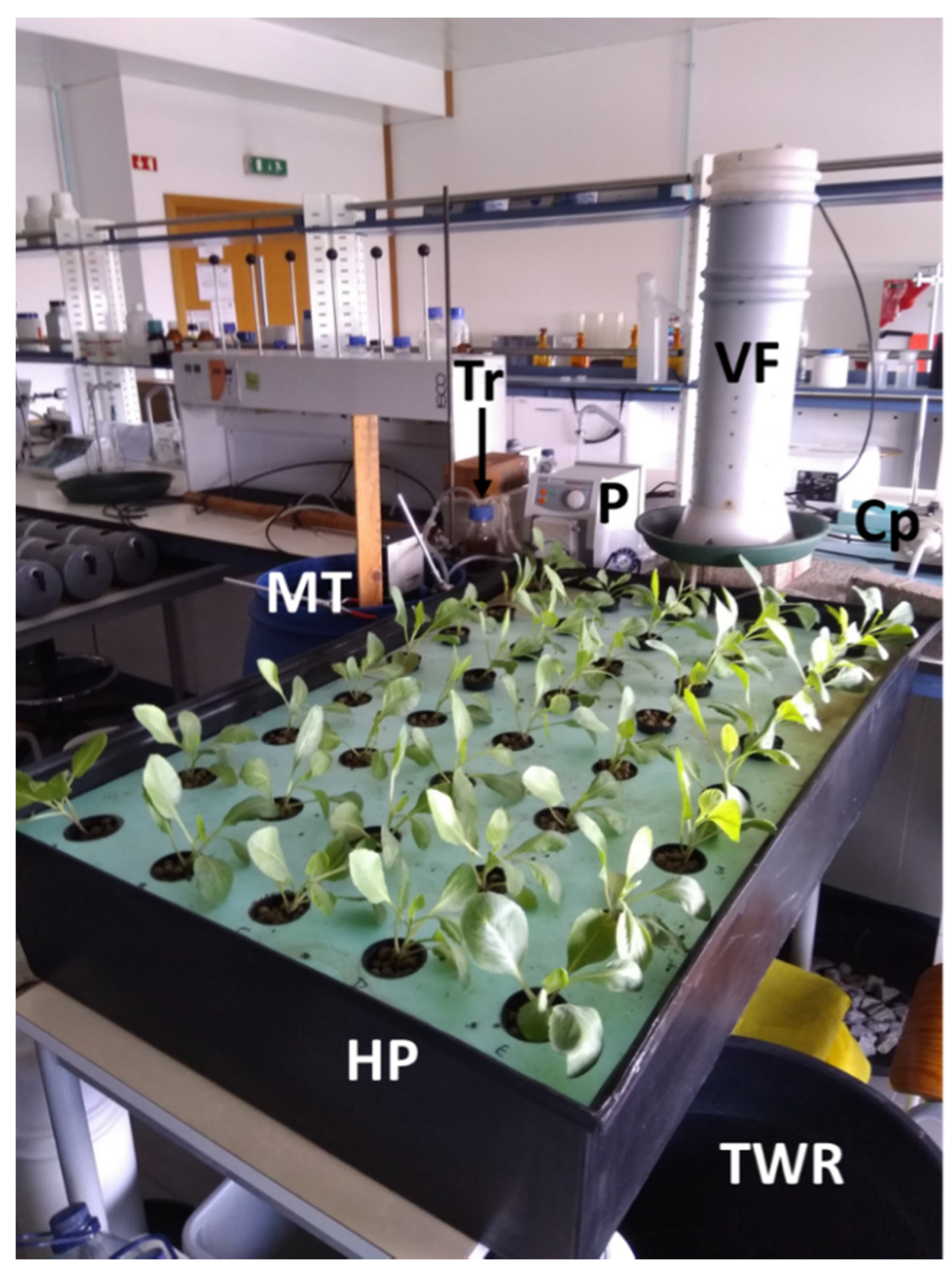 Applsci 11 05064 g002 Applsci 11 05064 g002