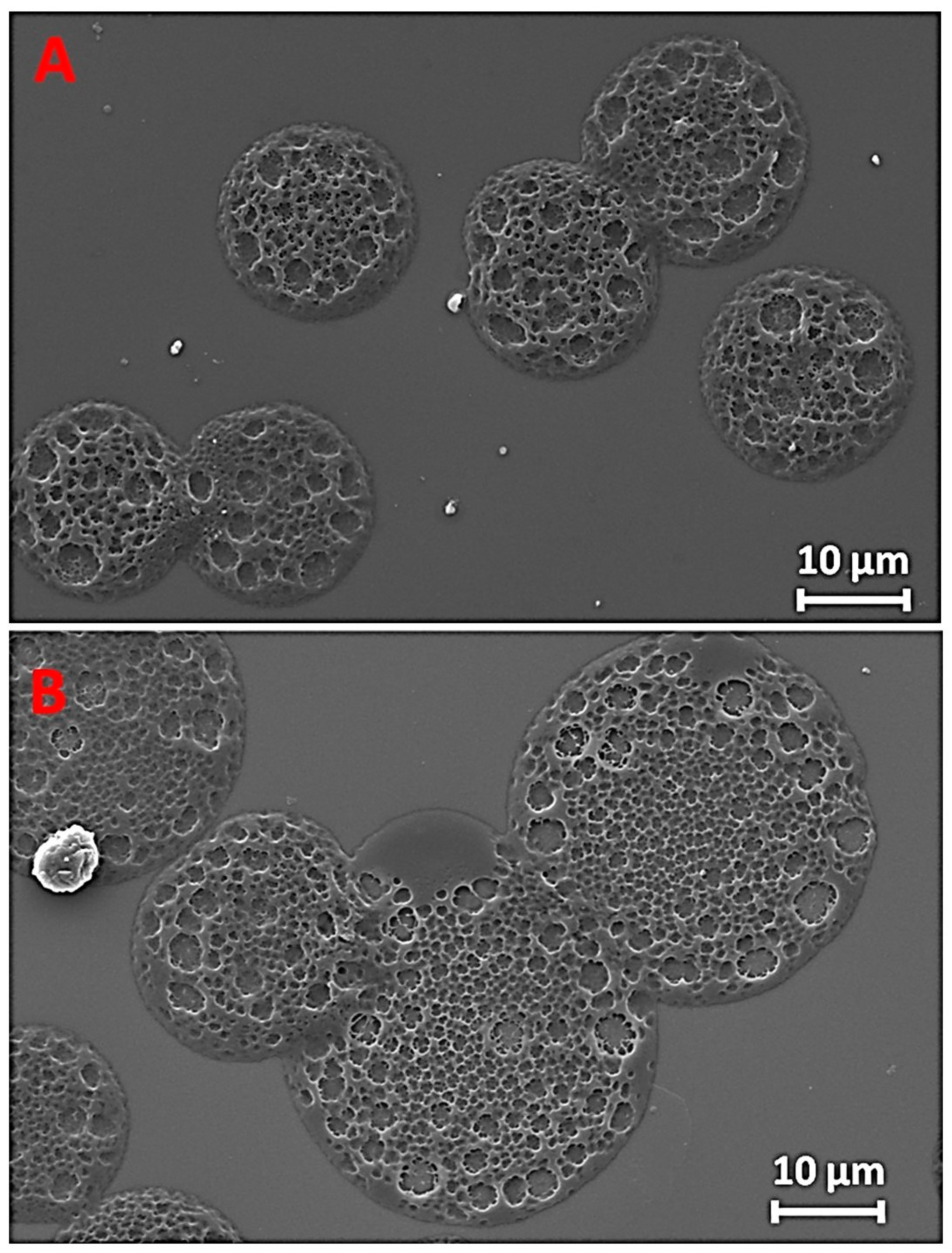 Applsci 11 05090 g002 Applsci 11 05090 g002