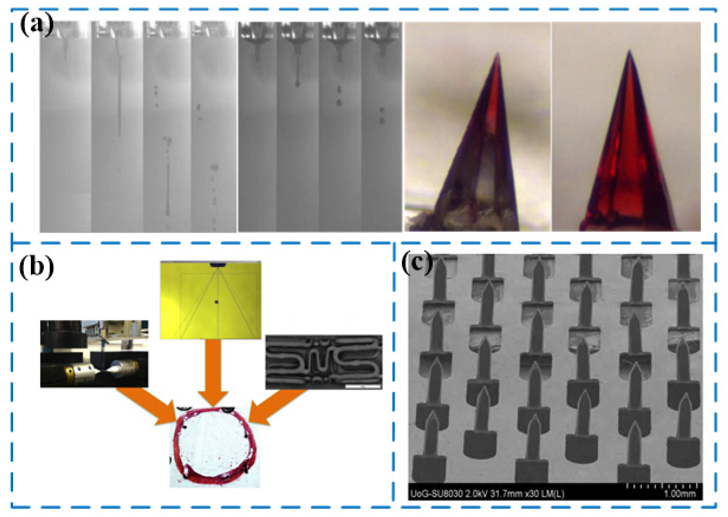 Applsci 11 05093 g005