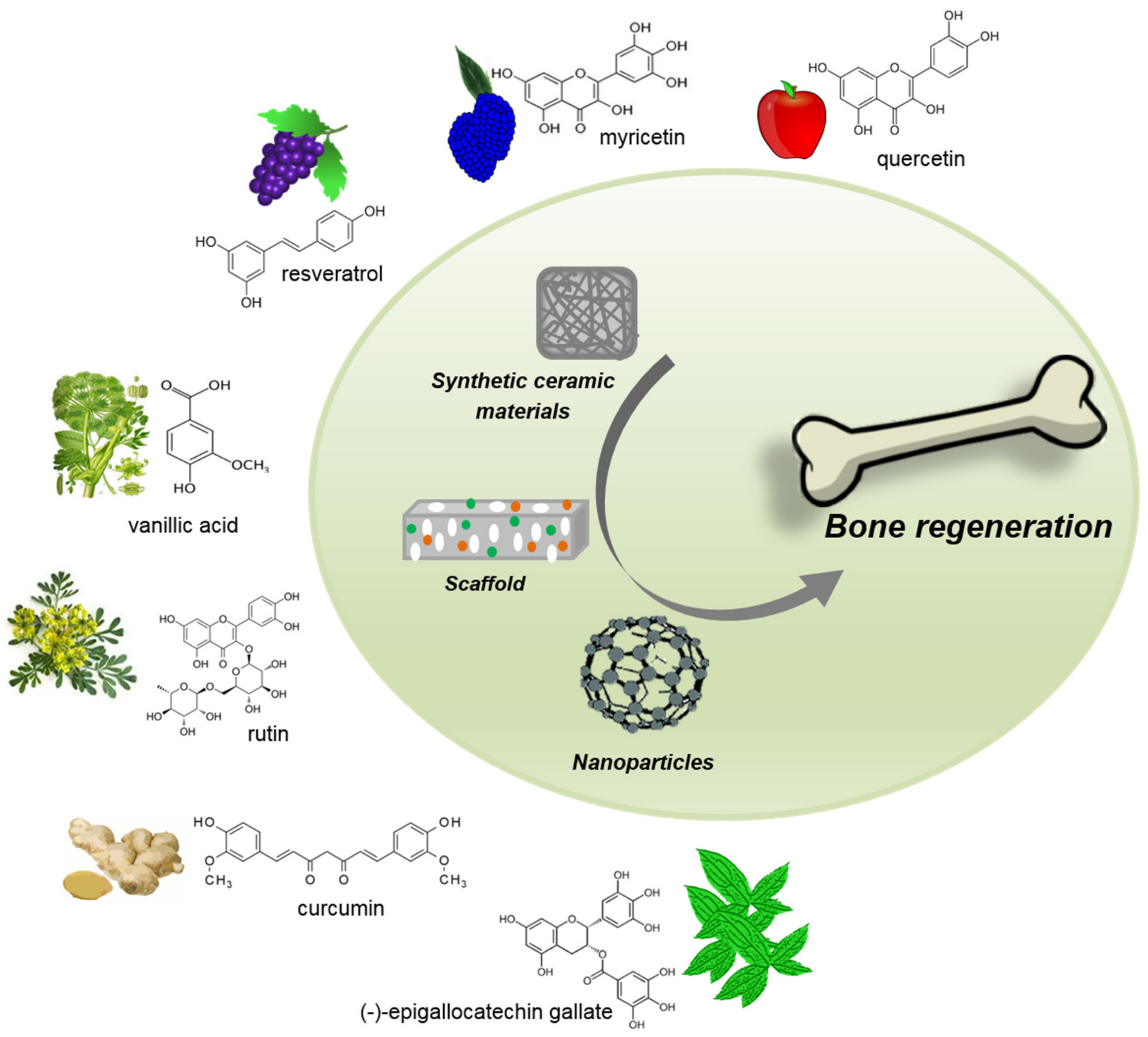 Applsci 11 05122 g002 Applsci 11 05122 g002