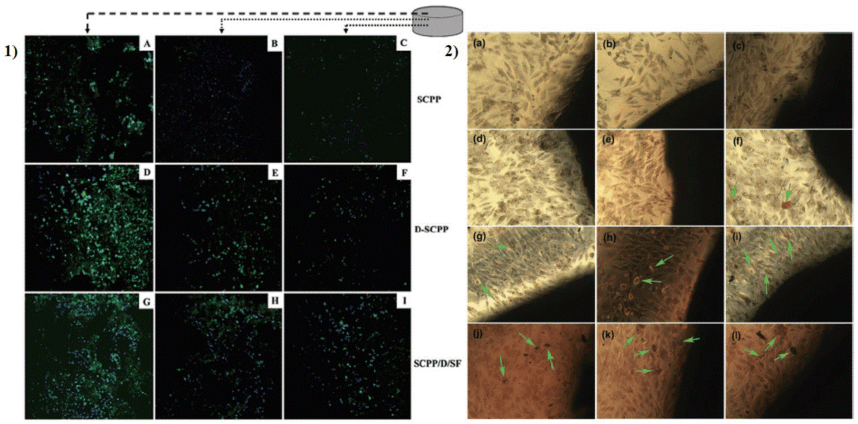 Applsci 11 05122 g003 Applsci 11 05122 g003