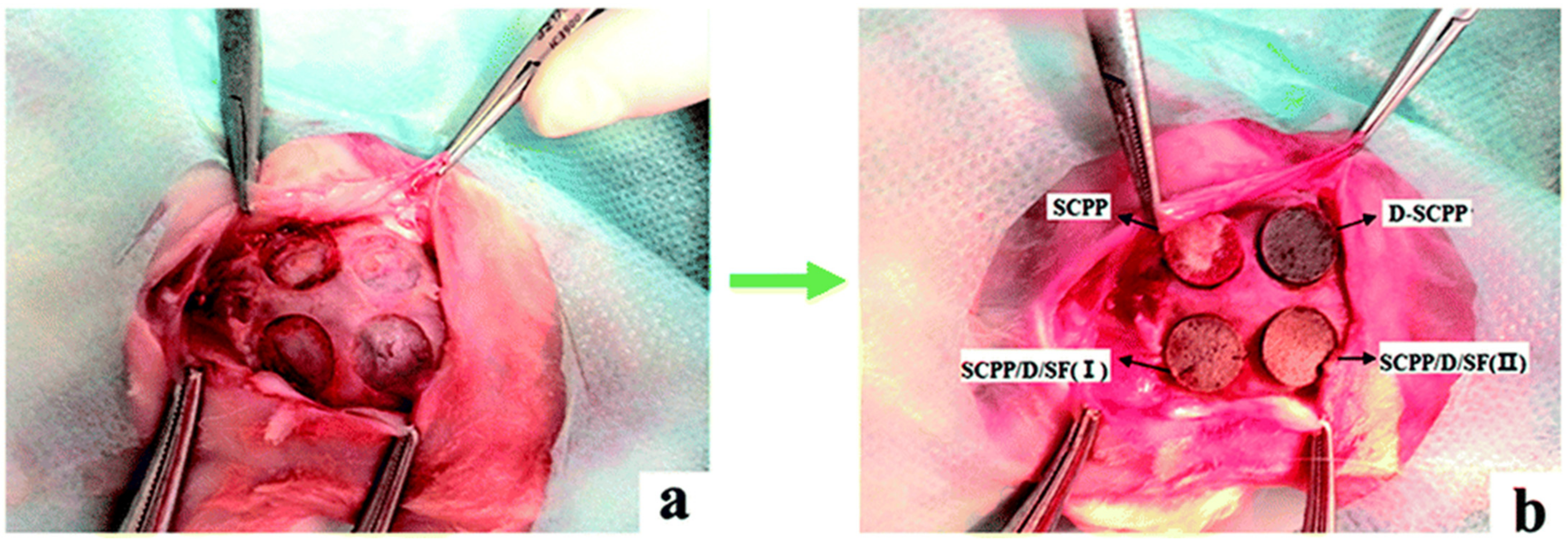Applsci 11 05122 g004 Applsci 11 05122 g004