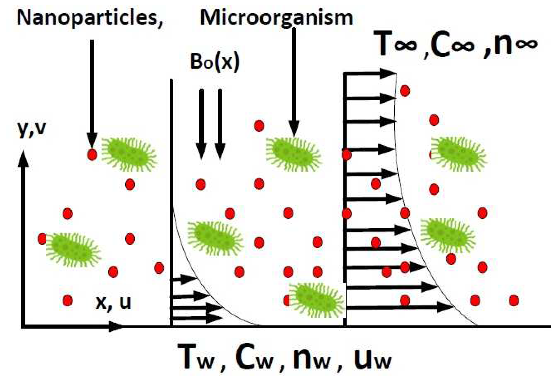 Applsci 11 05136 g001