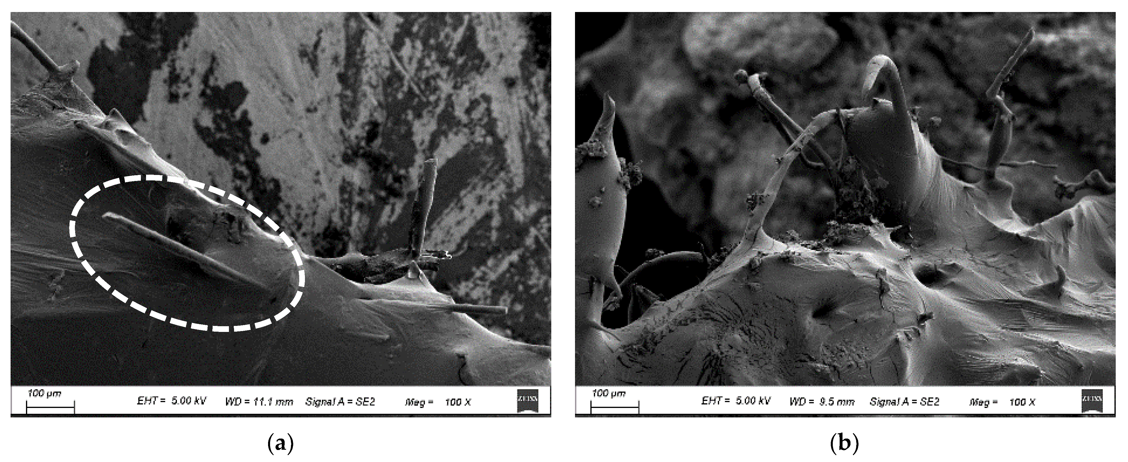 Applsci 11 05145 g010