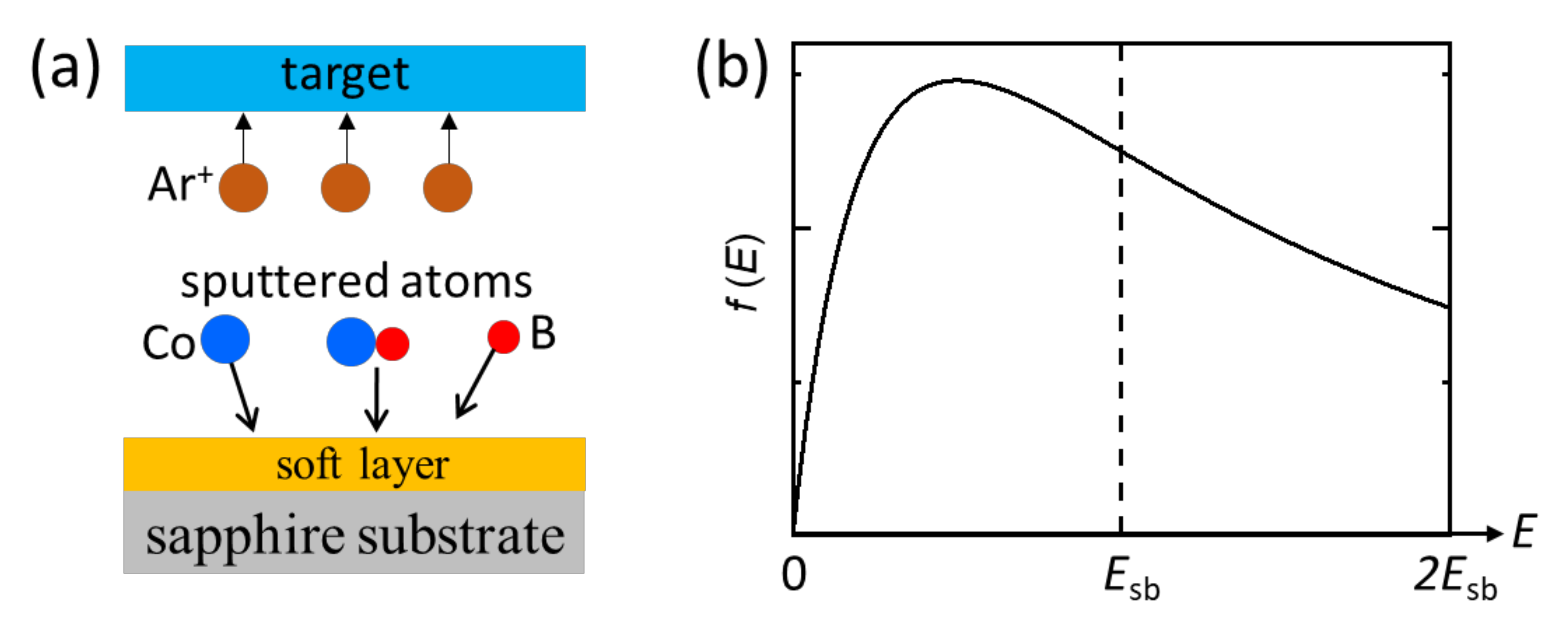 Applsci 11 05155 g001