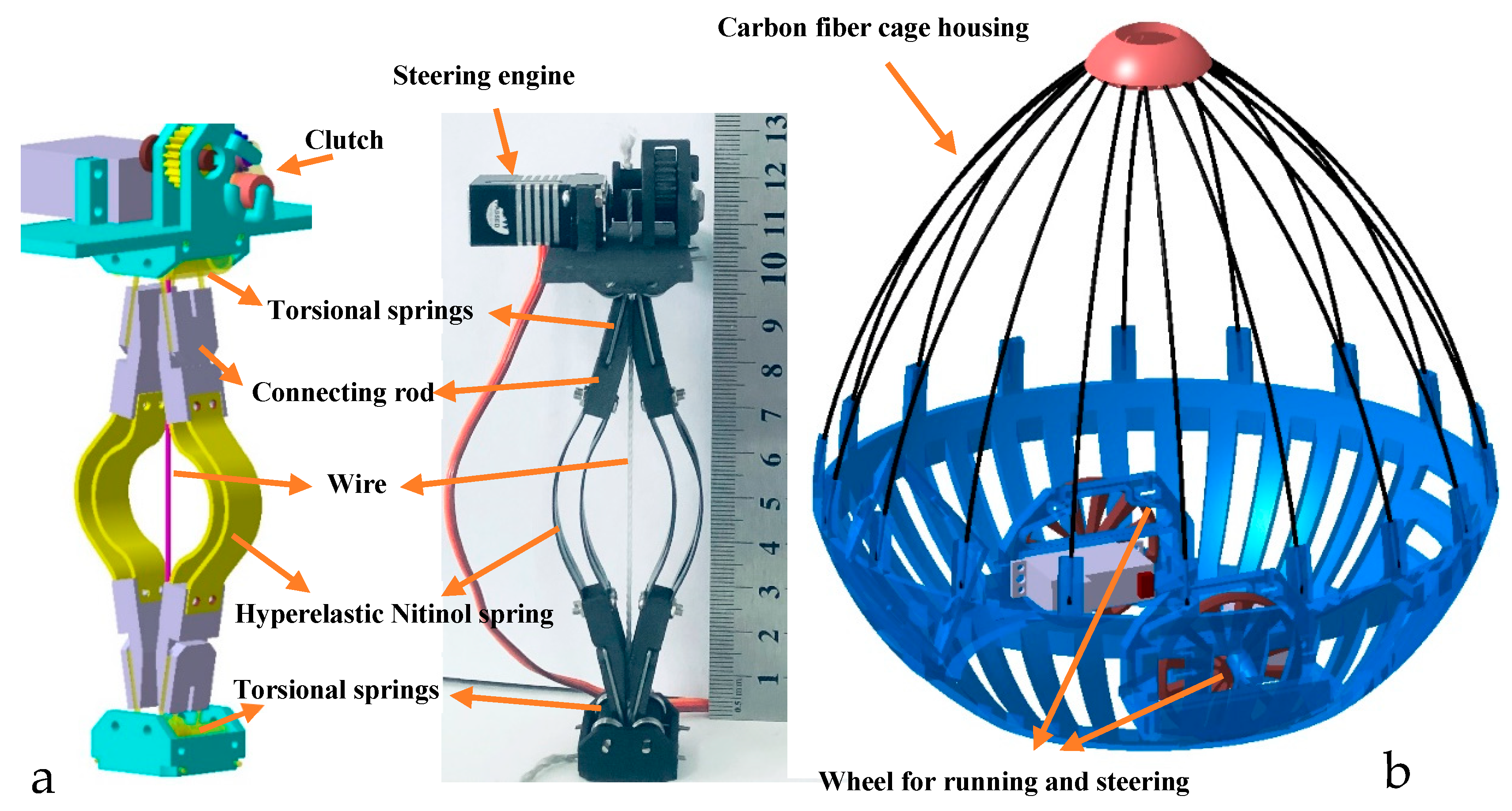 Applied Sciences Free FullText A Biologically Inspired Height