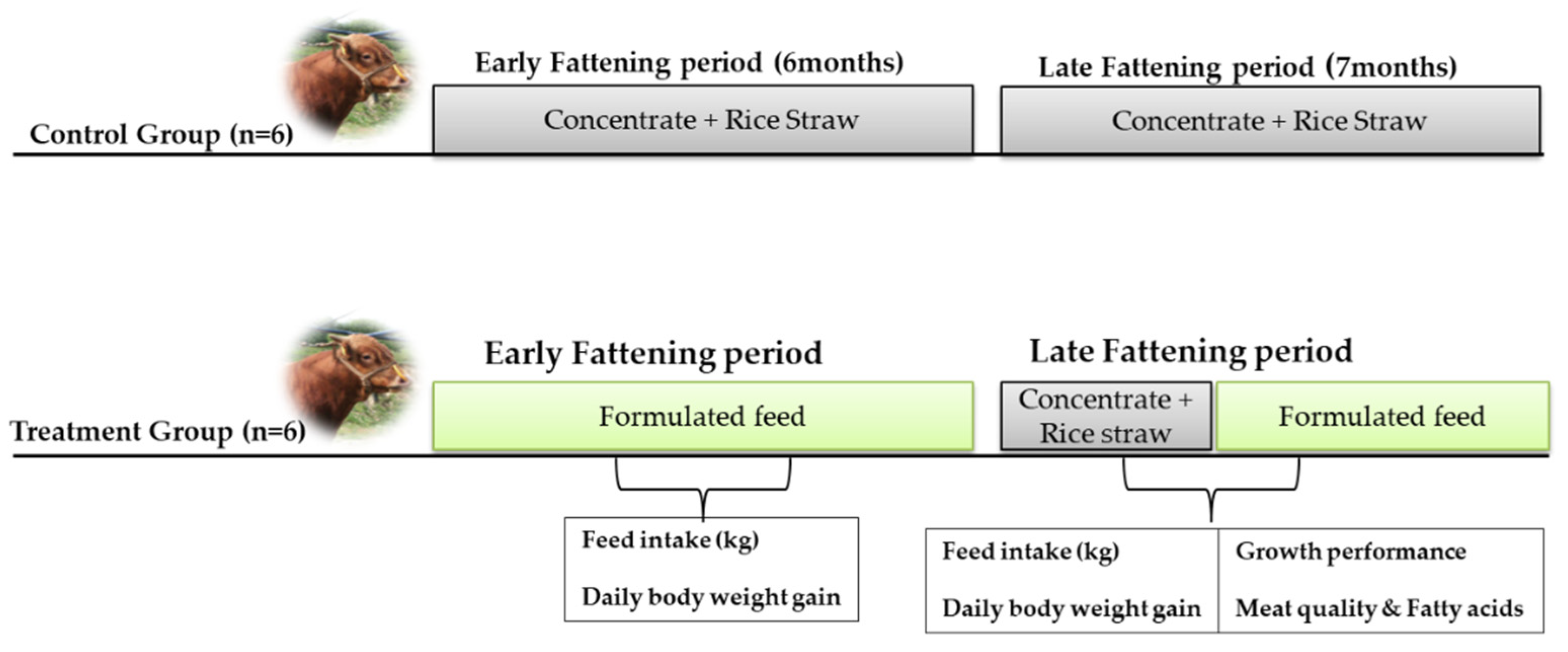 Applied Sciences | Free Full-Text | A Preliminary Study on Effects of Fermented Feed Supplementation on Growth Performance, Carcass Characteristics, and Meat Quality of Hanwoo Steers during the Early and Late Fattening Applied Sciences | Free Full-Text | A Preliminary Study on Effects of Fermented Feed Supplementation on Growth Performance, Carcass Characteristics, and Meat Quality of Hanwoo Steers during the Early and Late Fattening