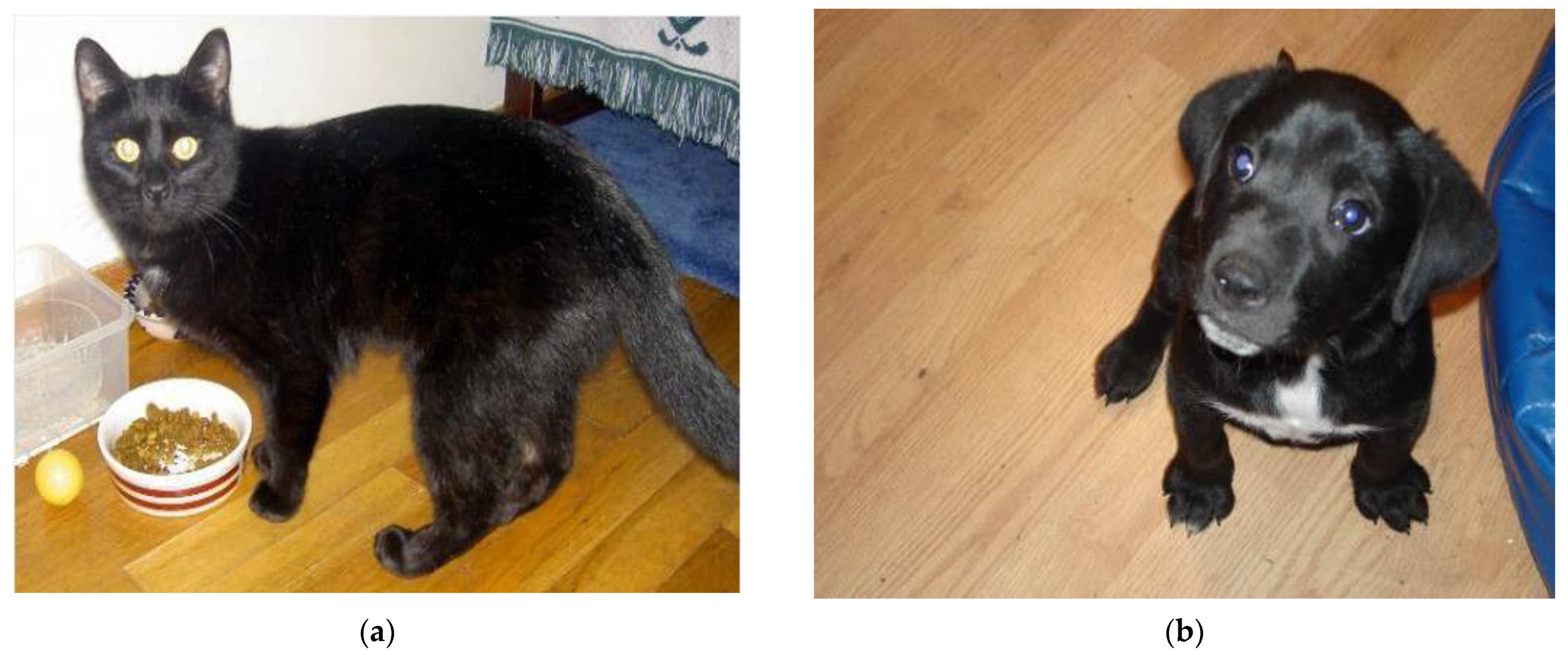 Applsci 11 05235 g006