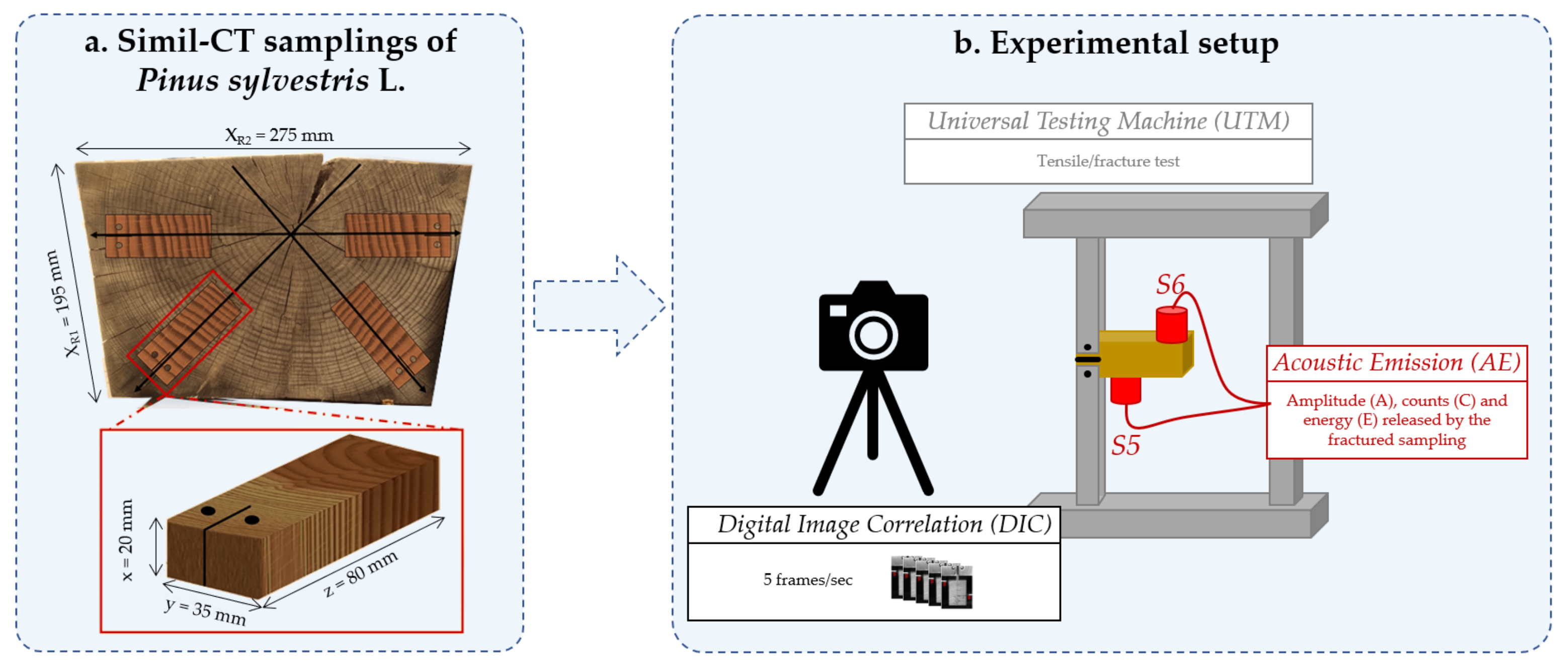 Real‐time equilibrium moisture content monitoring to predict grain