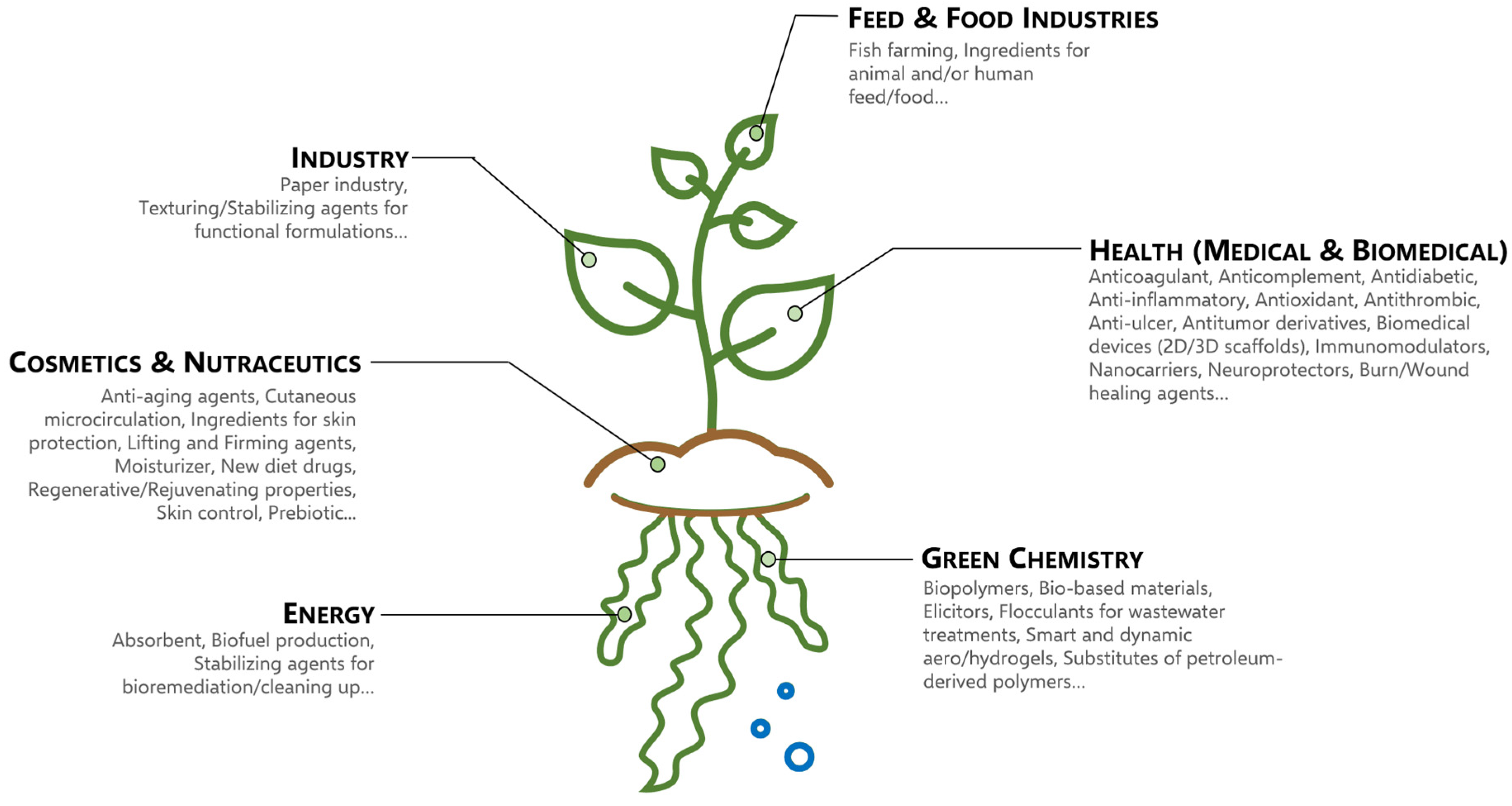 Applsci 11 05243 g005