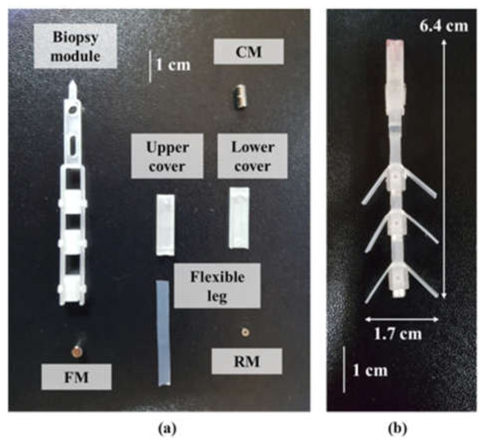 Applsci 11 05292 g008 Applsci 11 05292 g008
