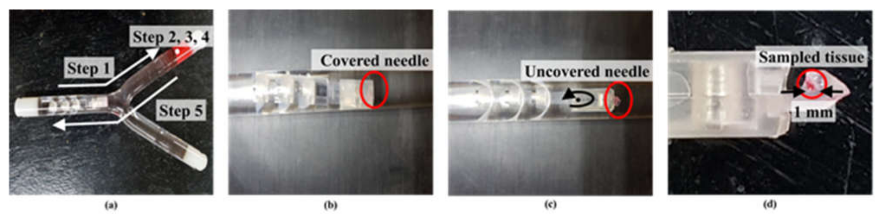 Applsci 11 05292 g010 Applsci 11 05292 g010