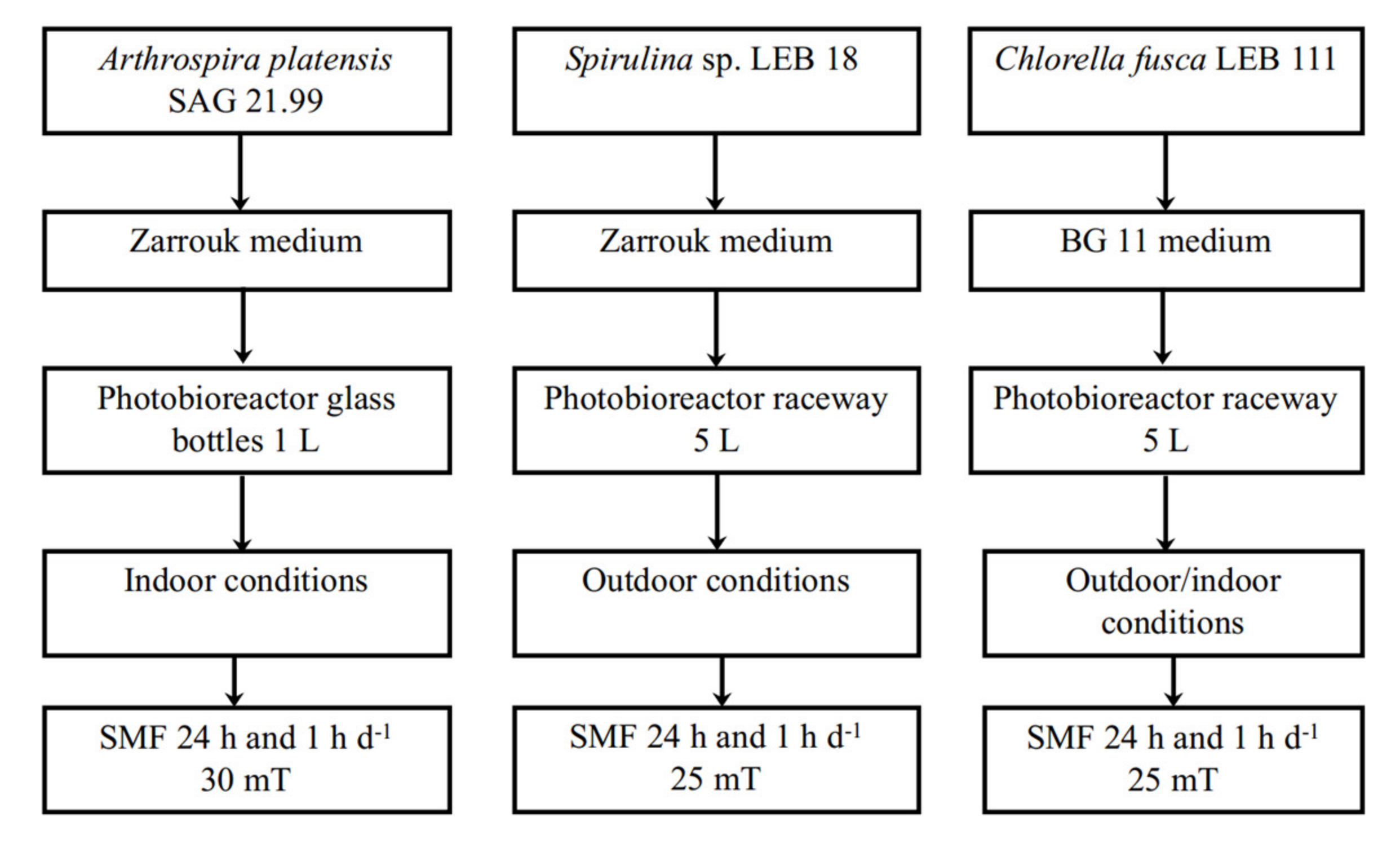 Applsci 11 05299 g001