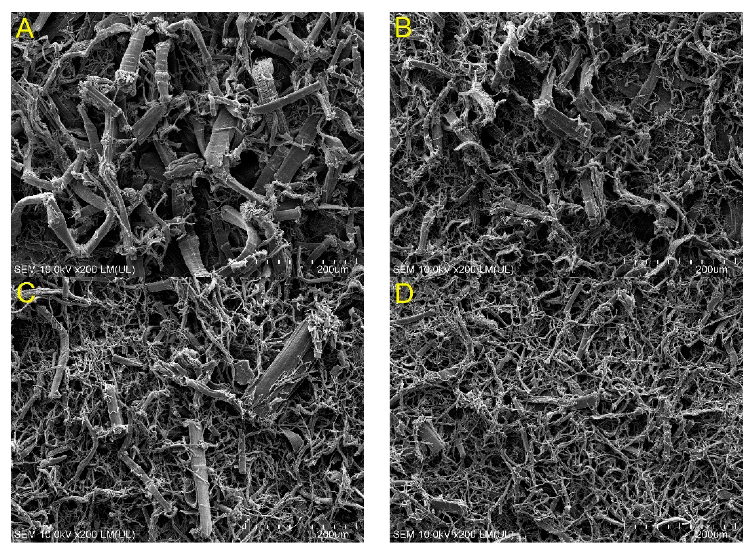 Applsci 11 05317 g002 Applsci 11 05317 g002