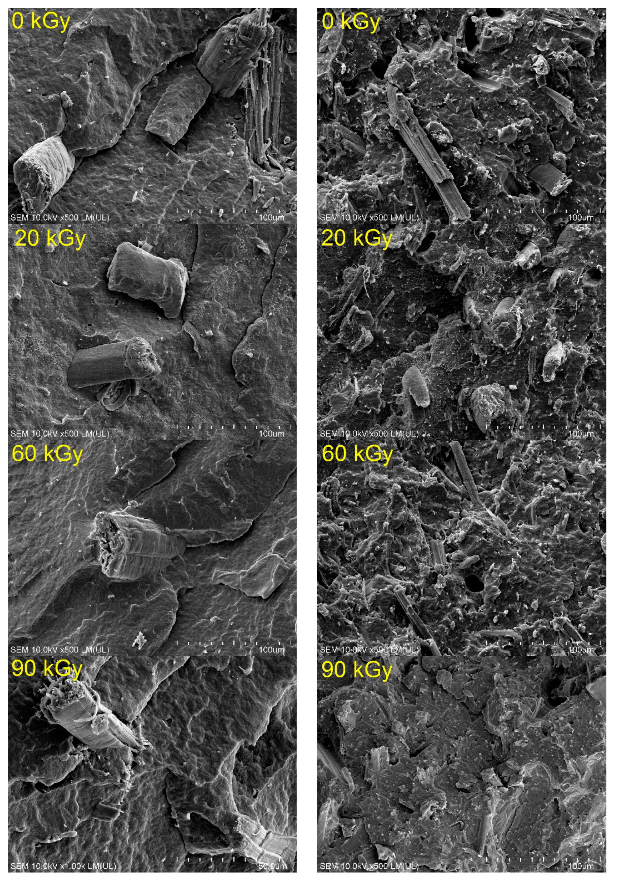 Applsci 11 05317 g003 Applsci 11 05317 g003