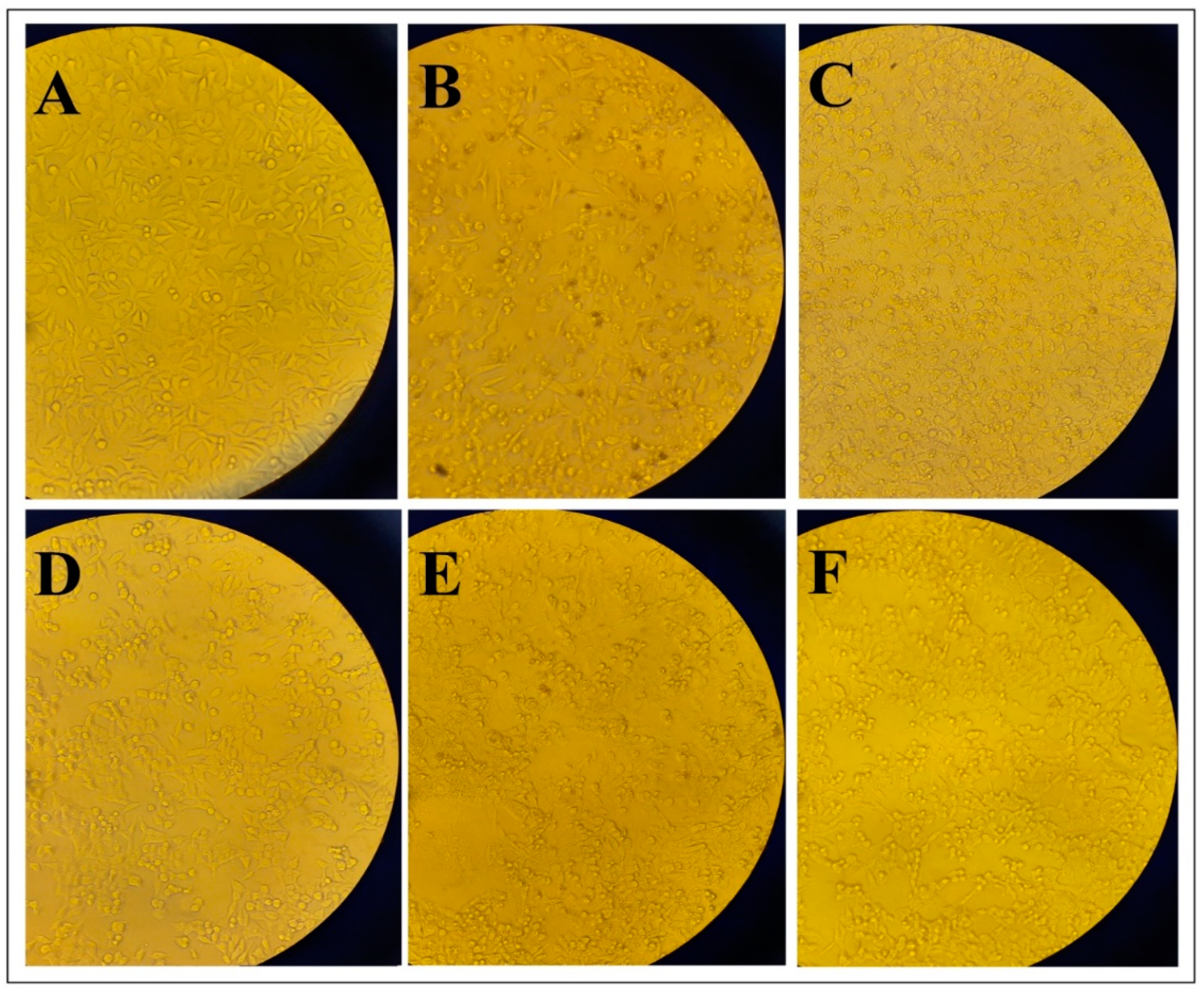 Applsci 11 05339 g007
