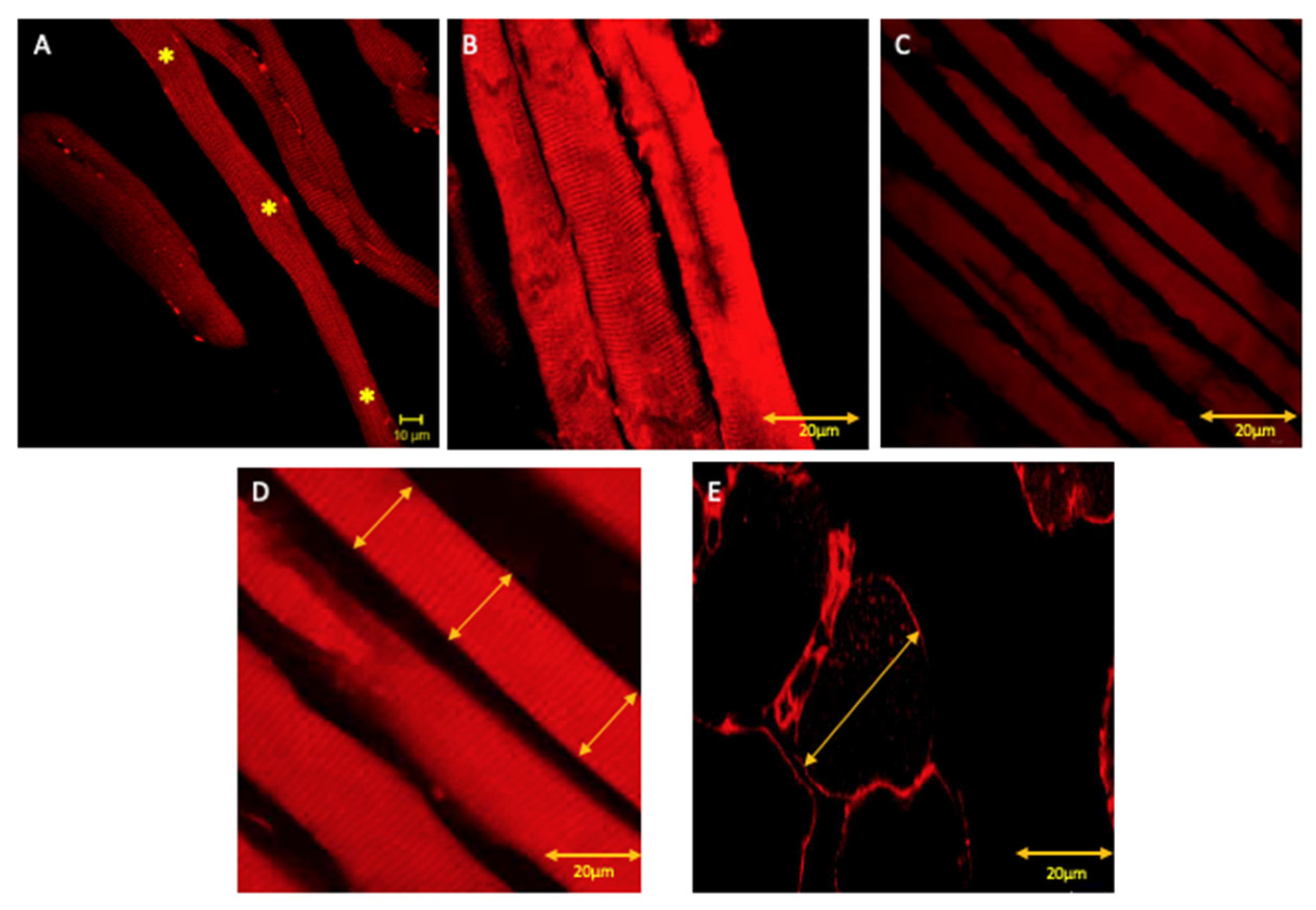 Applsci 11 05350 g001