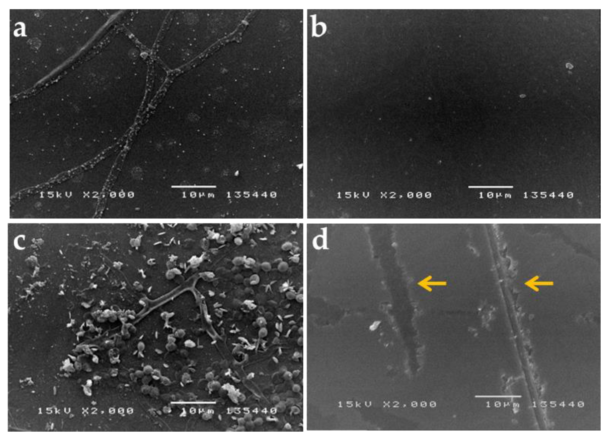 Applsci 11 05351 g005