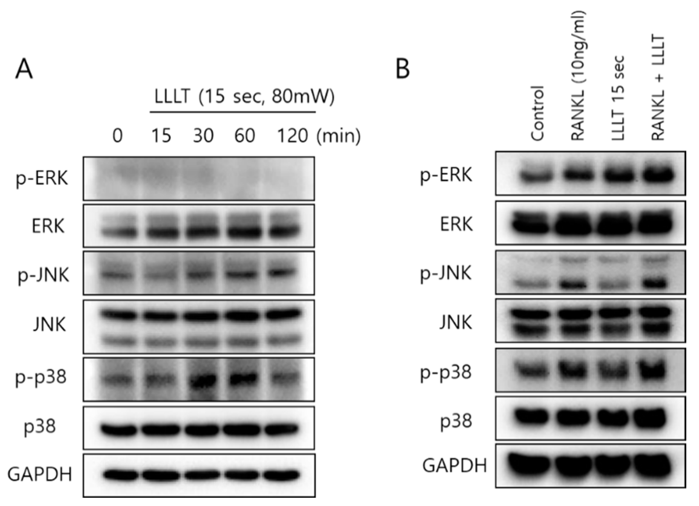 Applsci 11 05360 g005