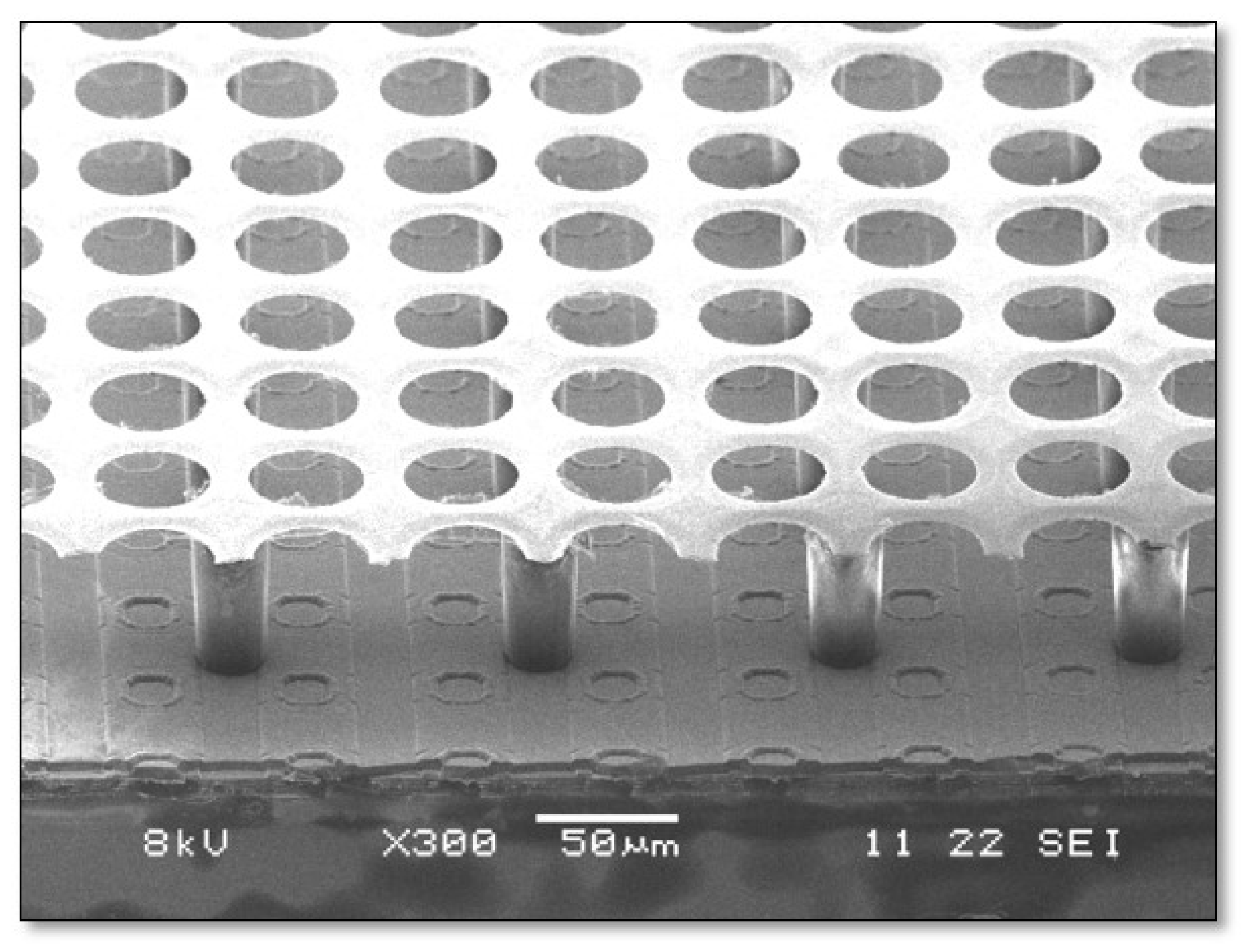 Applsci 11 05362 g005