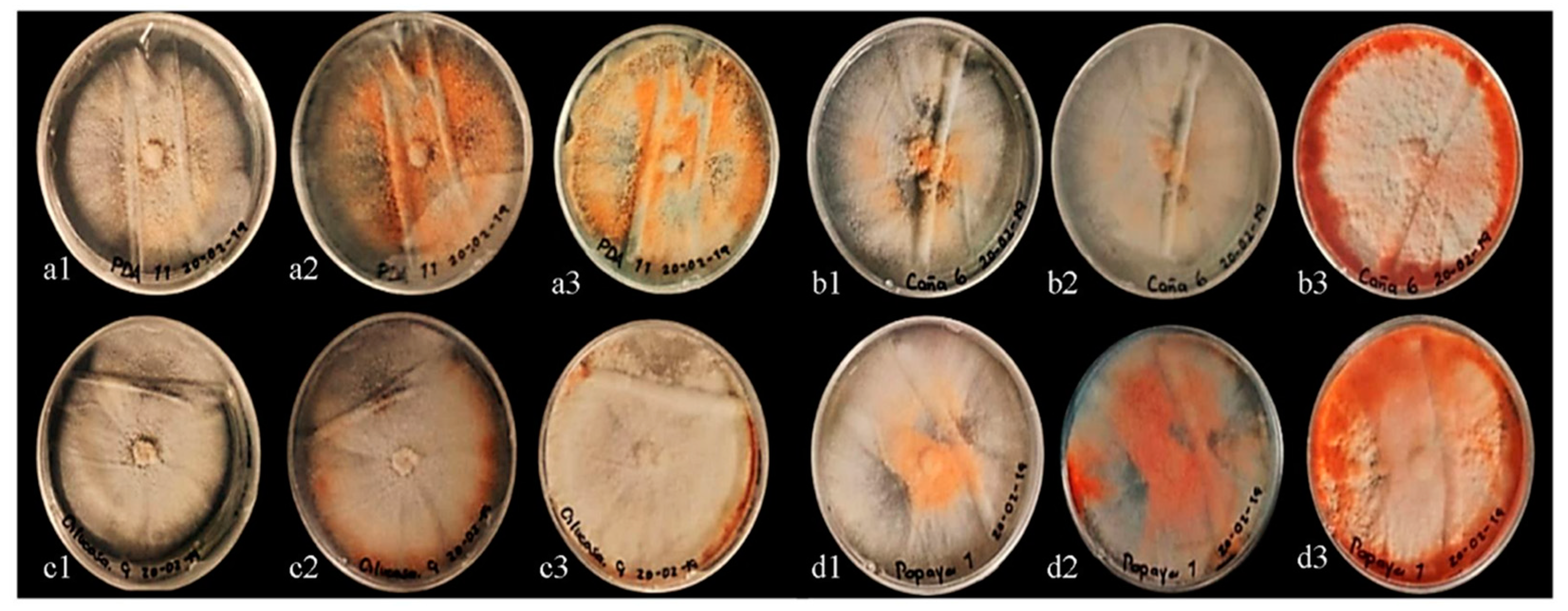 Applsci 11 05391 g003 Applsci 11 05391 g003