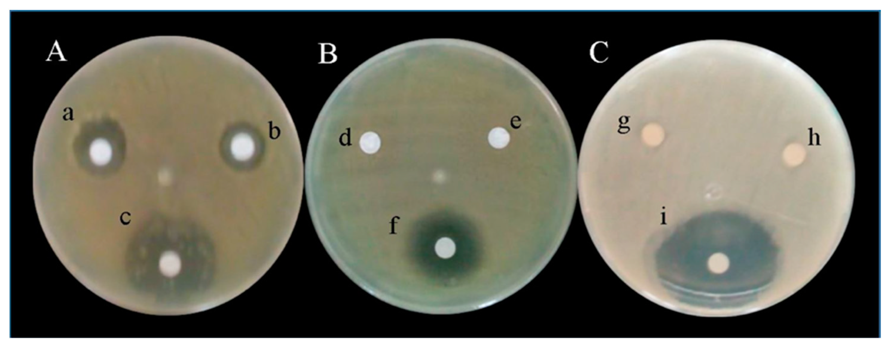 Applsci 11 05391 g005 Applsci 11 05391 g005