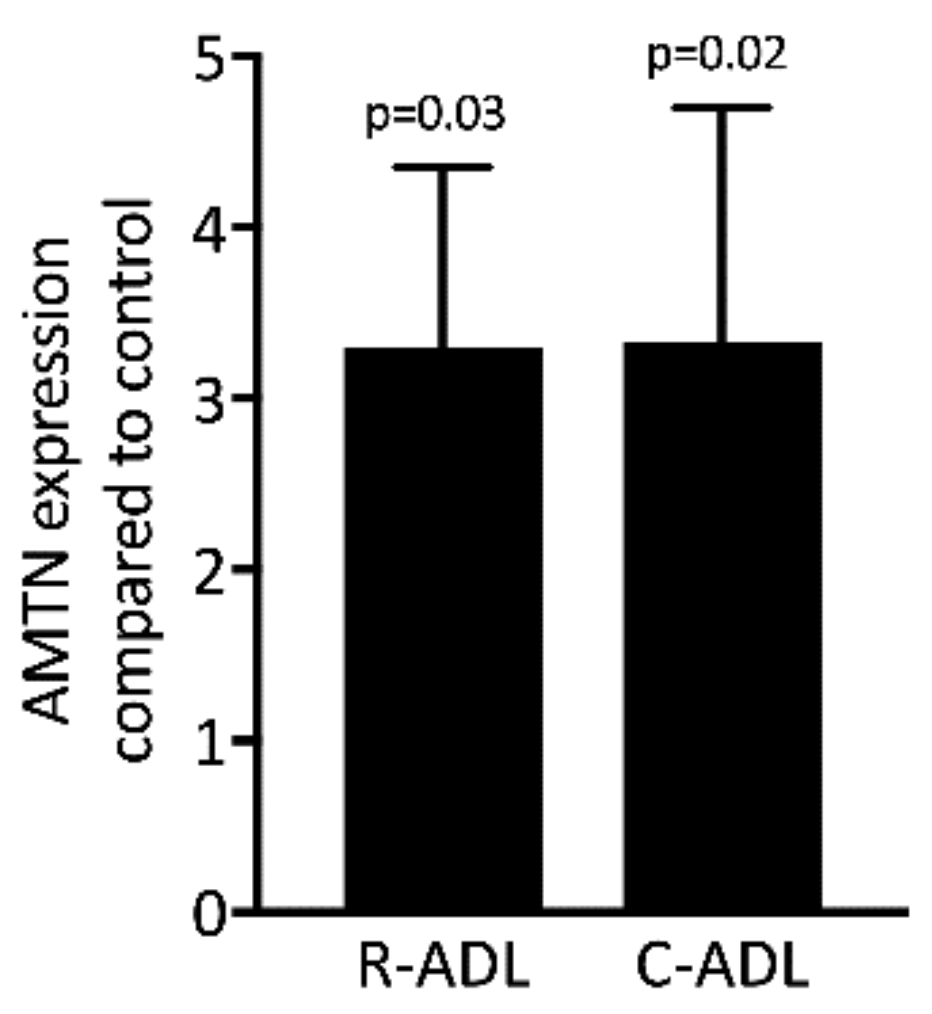 Applsci 11 05394 g009 Applsci 11 05394 g009