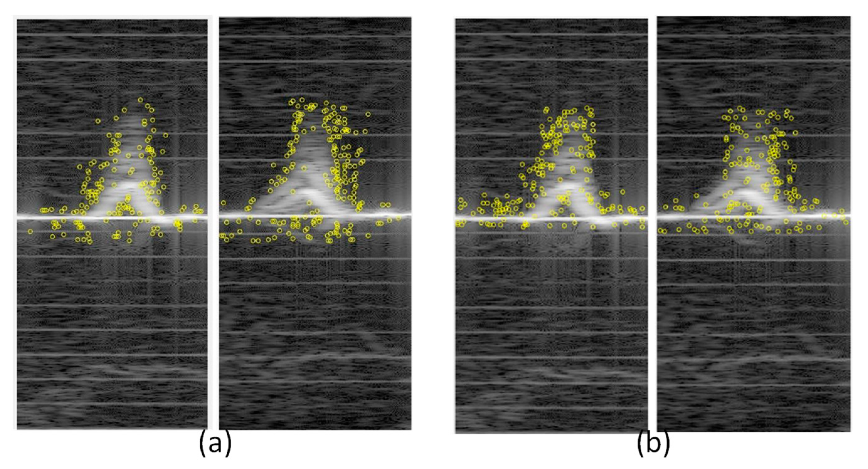 Applsci 11 05407 g009