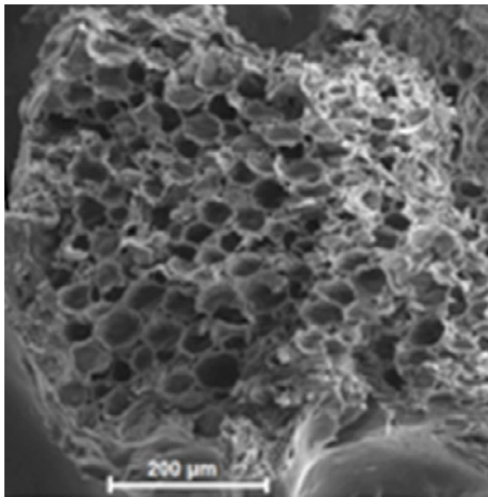 Applsci 11 05420 g007 Applsci 11 05420 g007