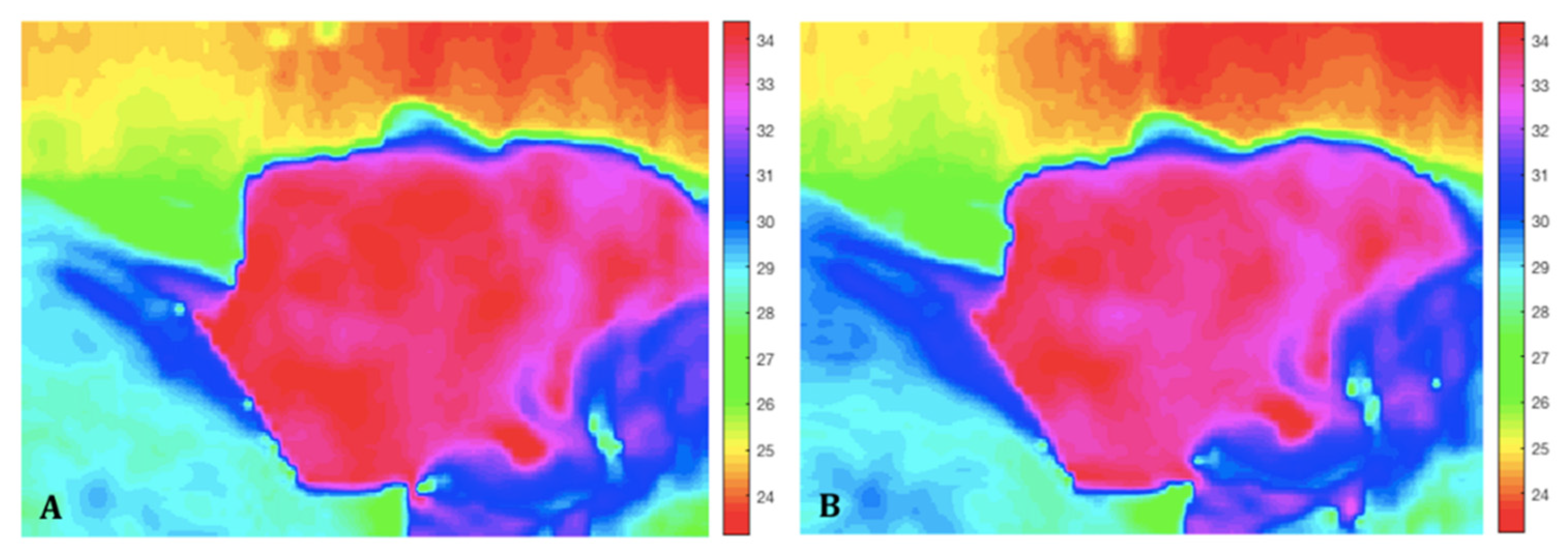Applsci 11 05421 g003