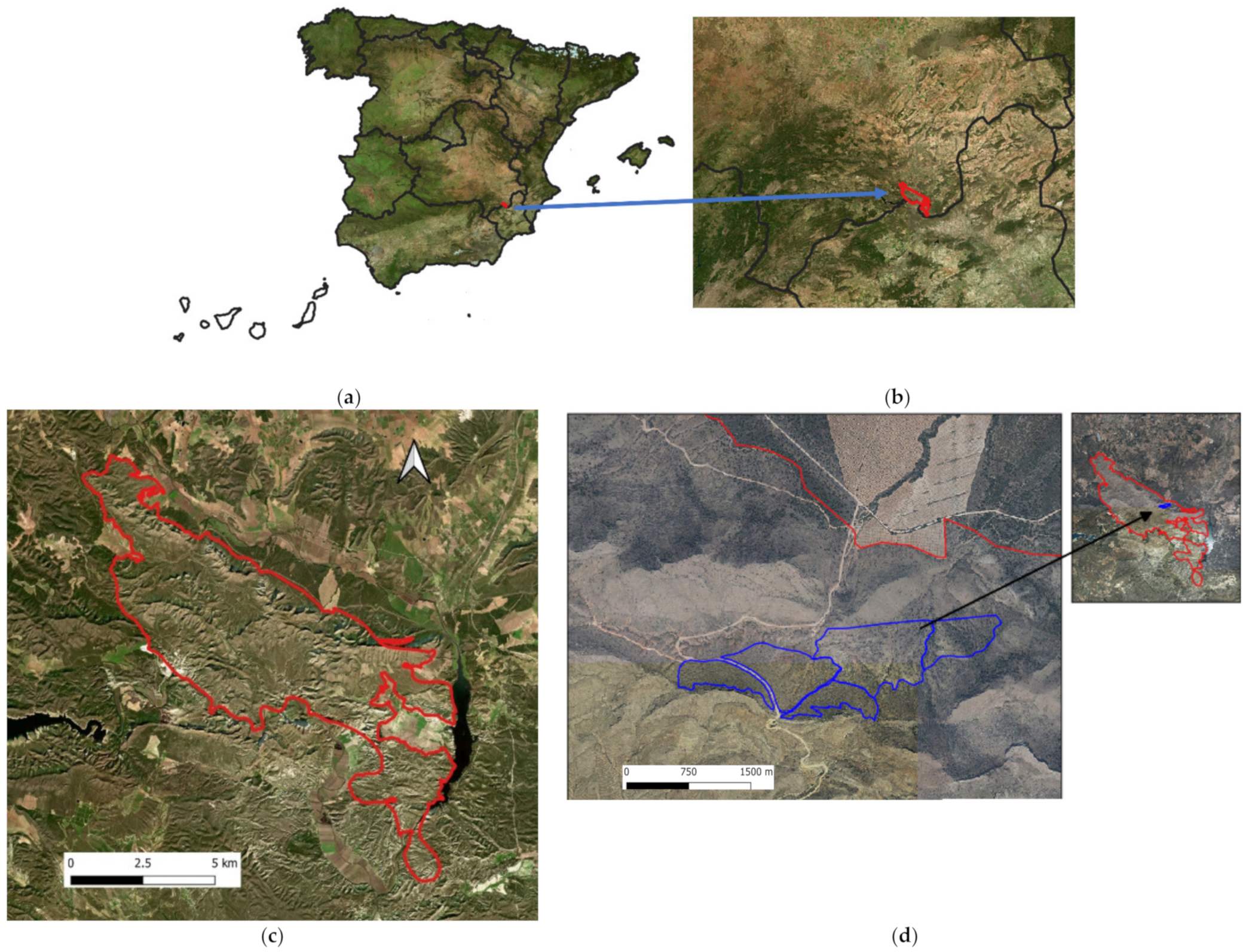 Applsci 11 05423 g001