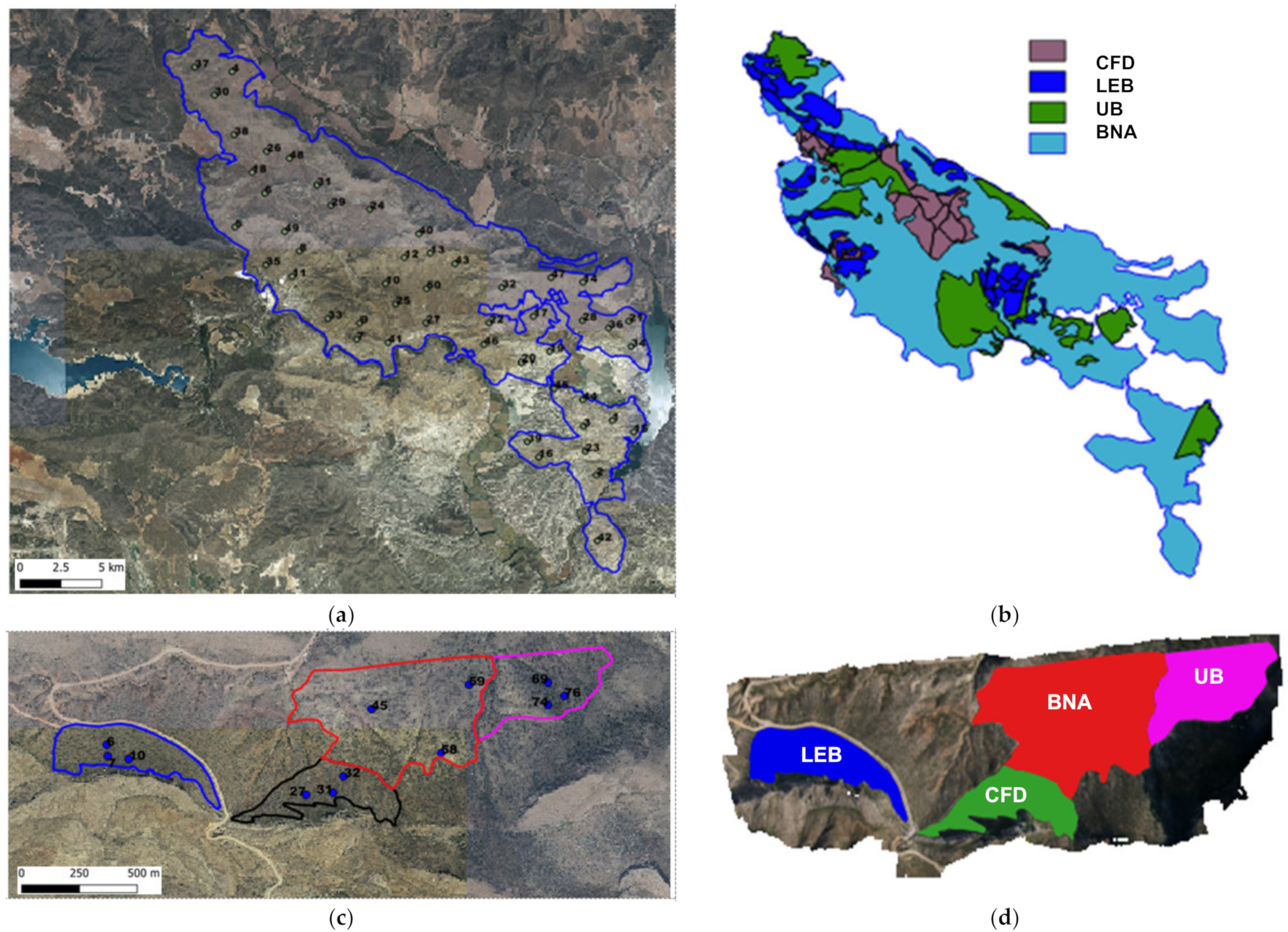 Applsci 11 05423 g002