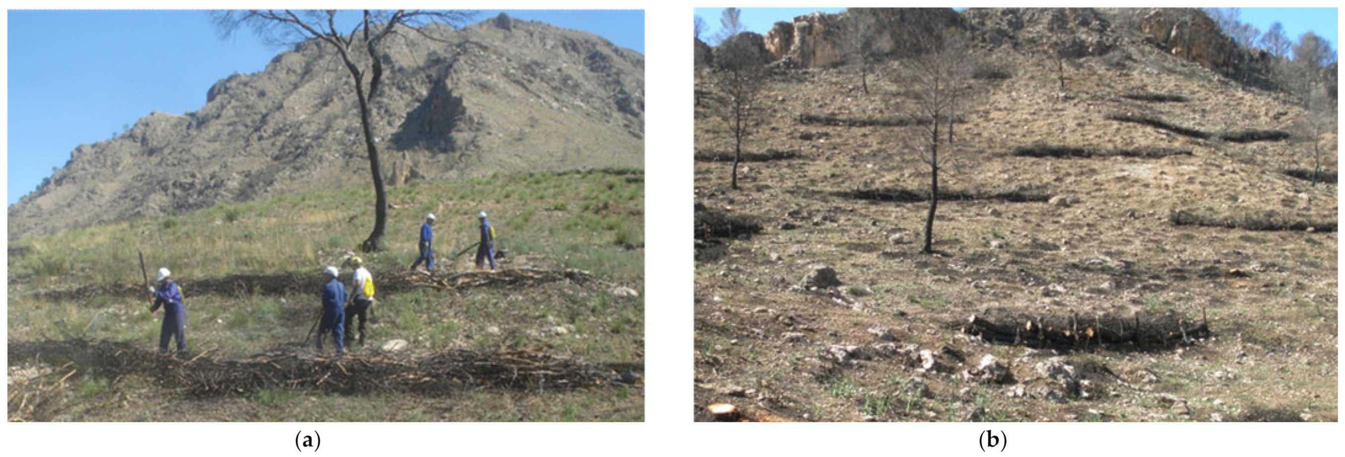 Applsci 11 05423 g003