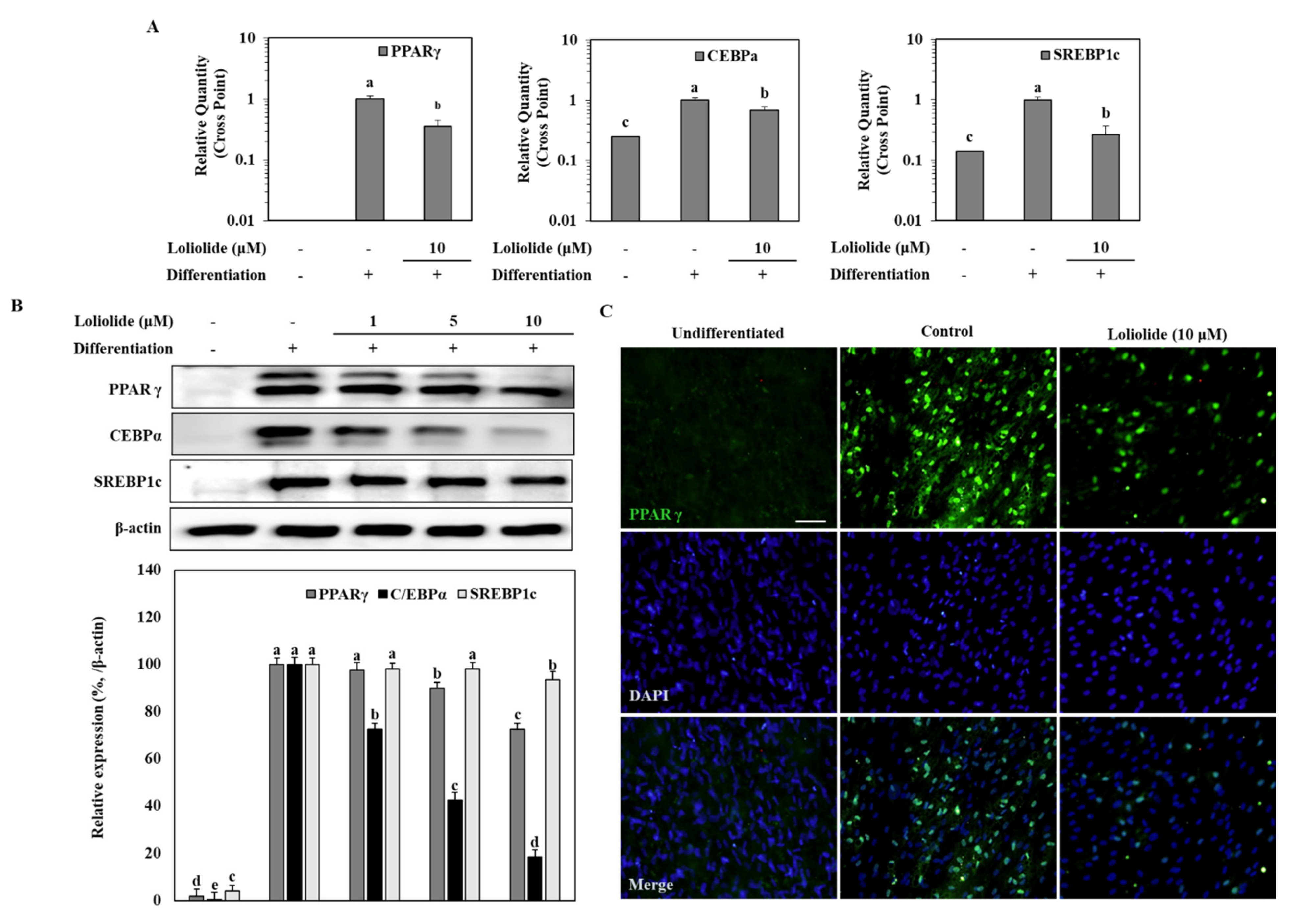 Applsci 11 05435 g002 Applsci 11 05435 g002