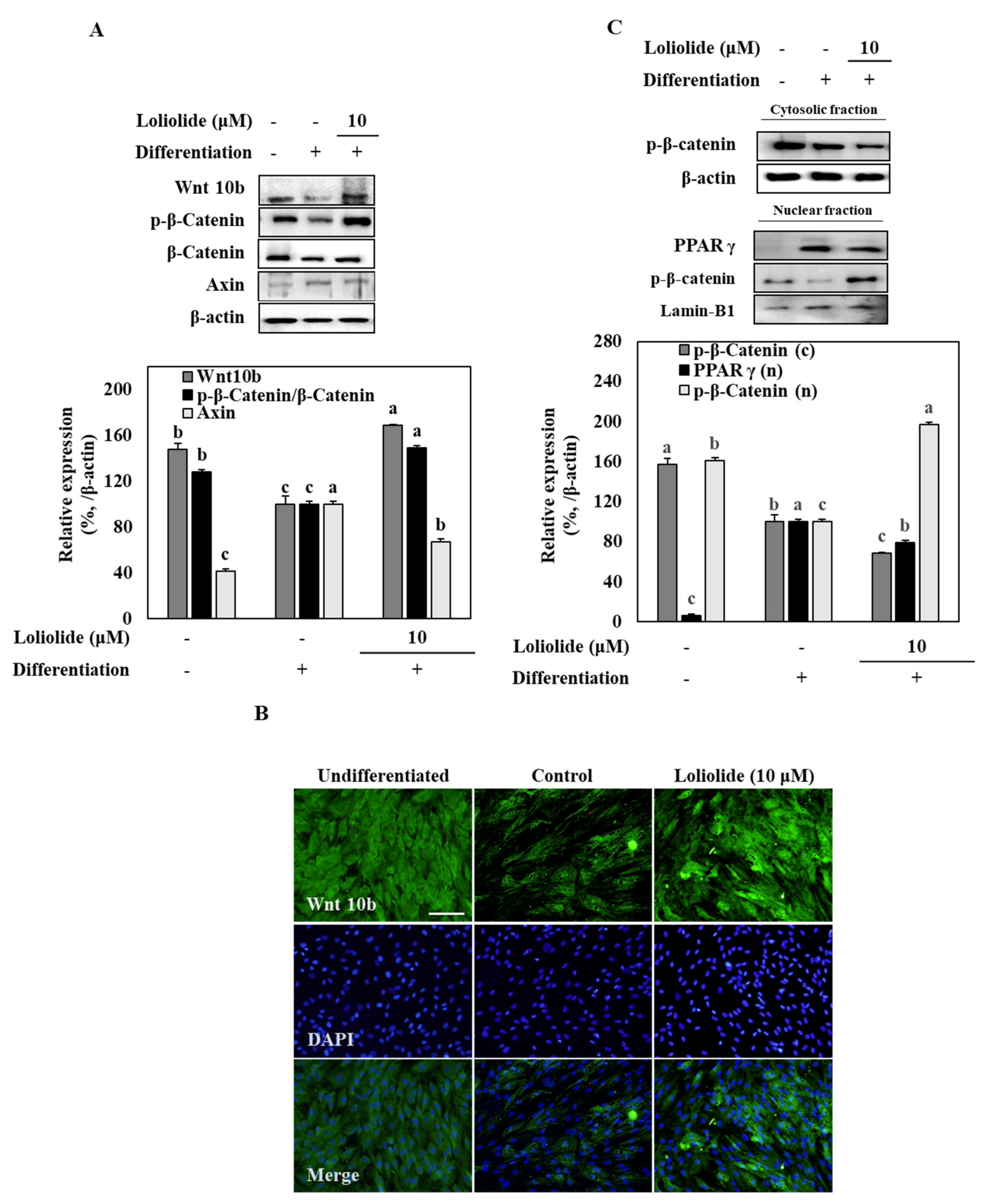Applsci 11 05435 g004 Applsci 11 05435 g004