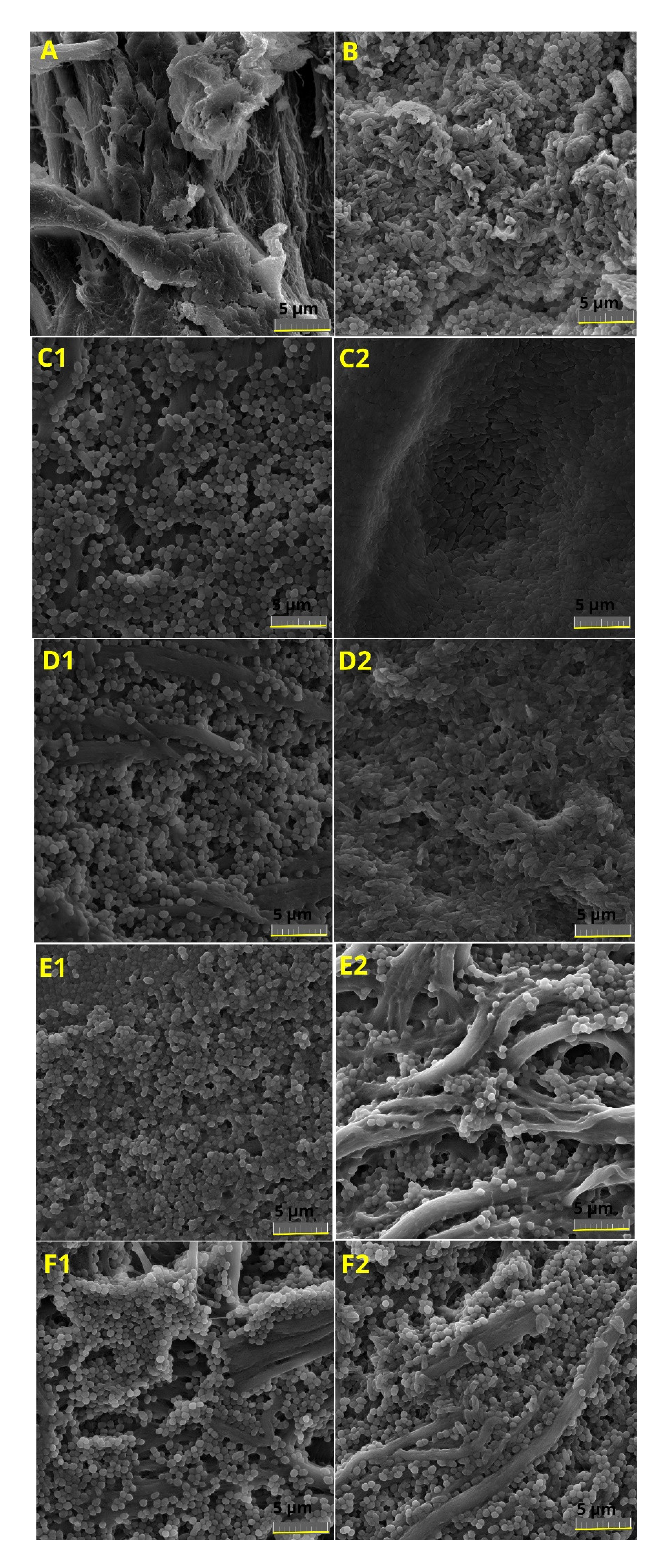 Applsci 11 05441 g003 Applsci 11 05441 g003