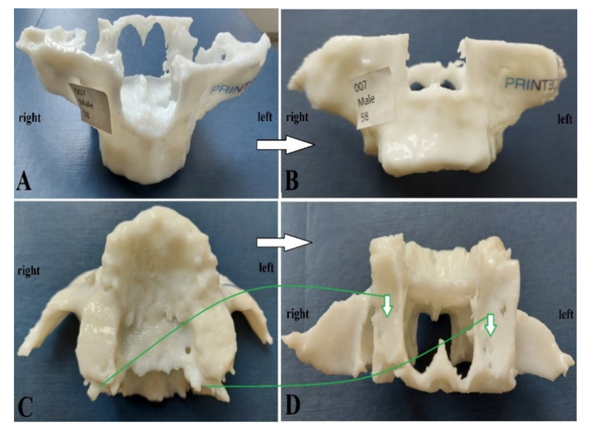 Applsci 11 05450 g001 Applsci 11 05450 g001