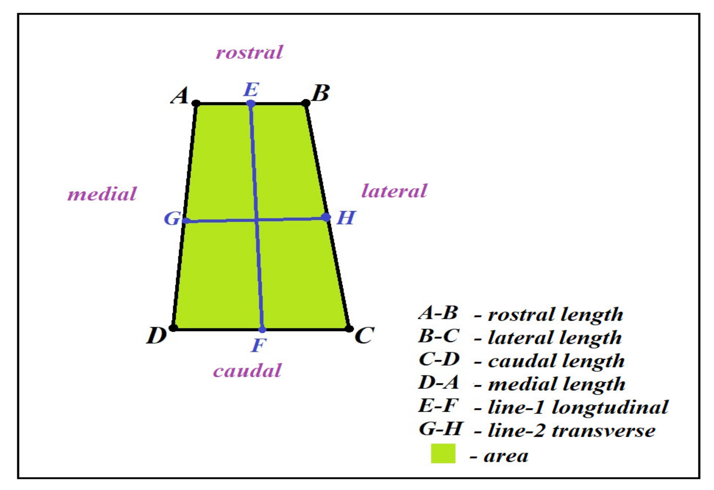 Applsci 11 05450 g002 Applsci 11 05450 g002