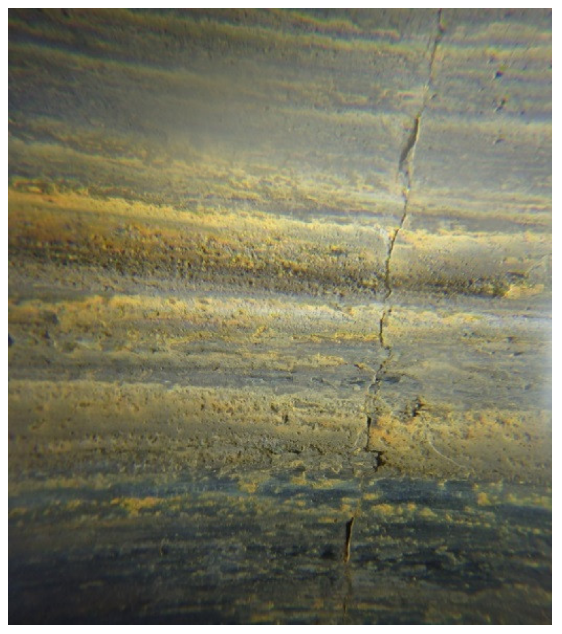 Applsci 11 05451 g007