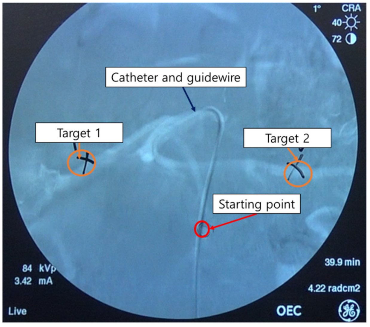 Applsci 11 05453 g010