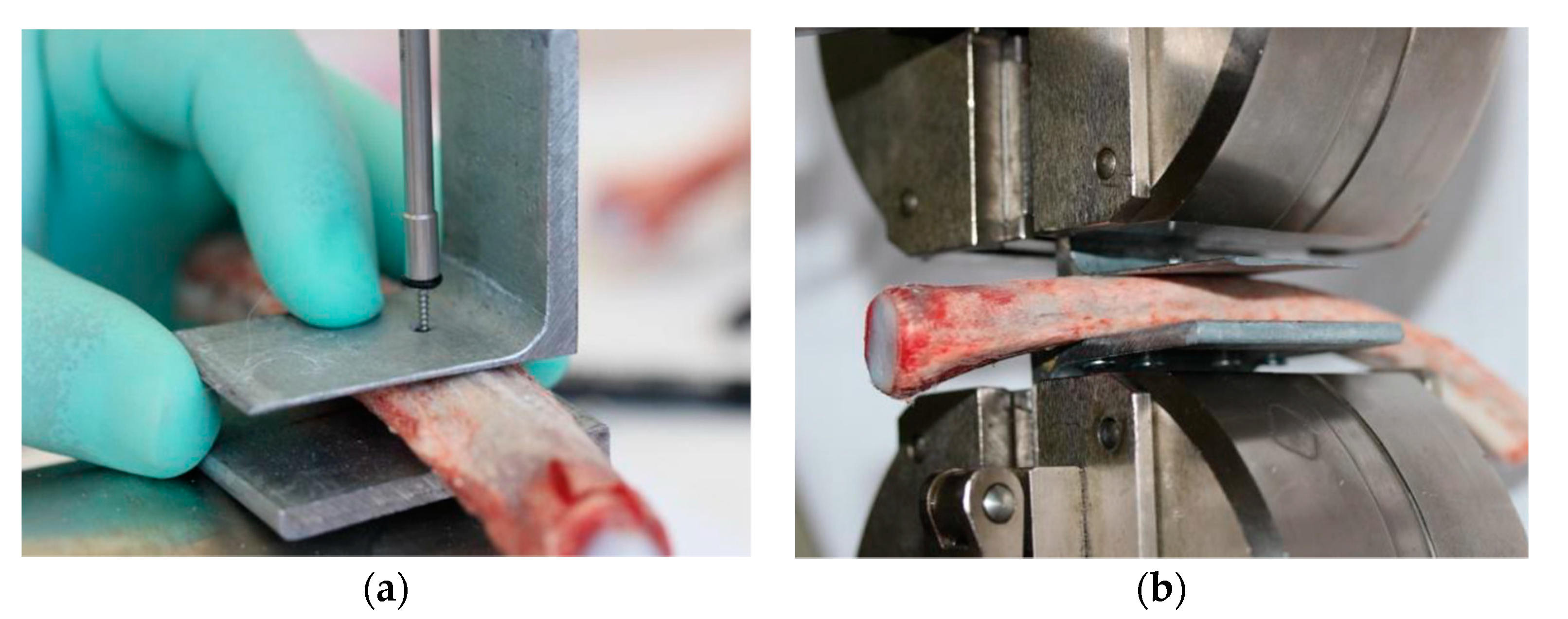 Applsci 11 05461 g004