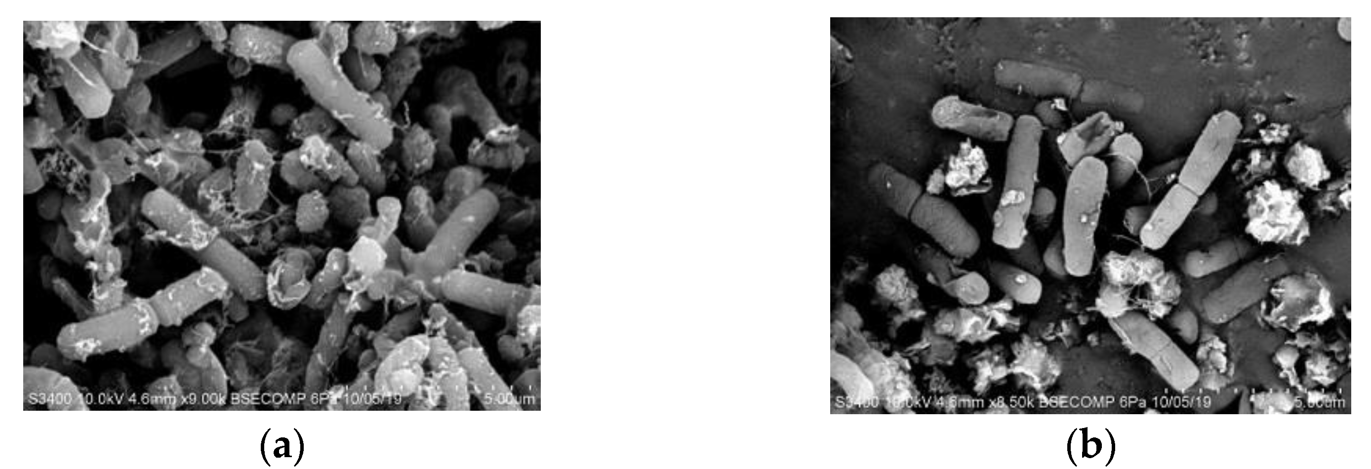 Applsci 11 05496 g002 Applsci 11 05496 g002