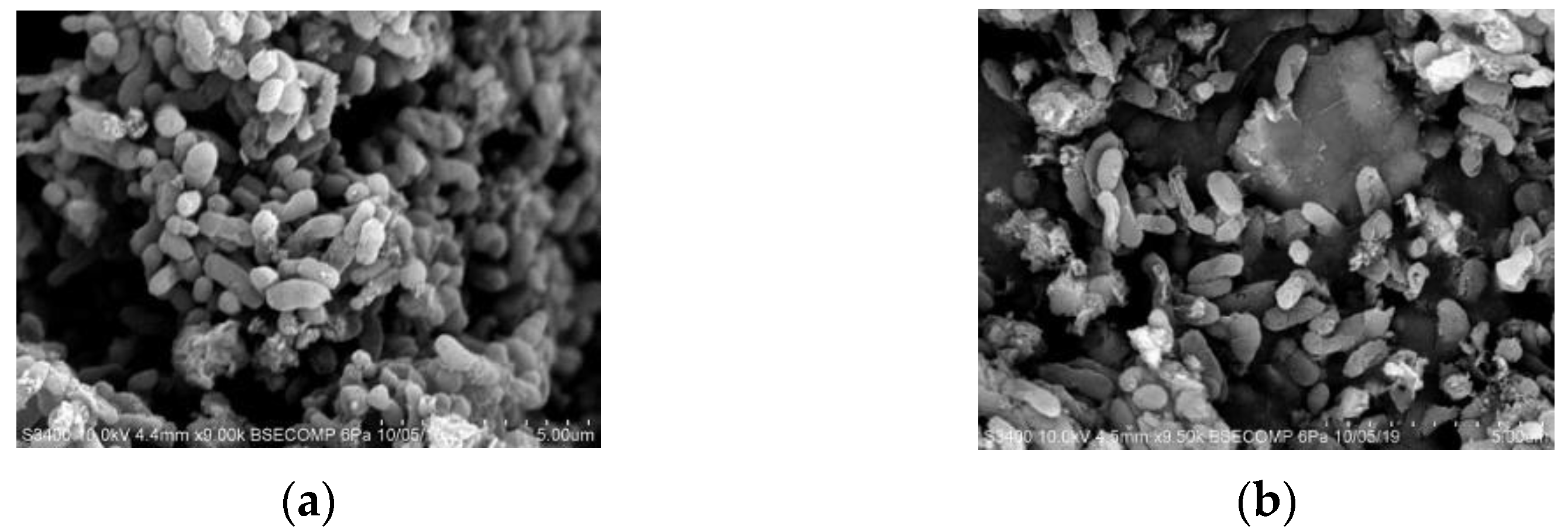 Applsci 11 05496 g003 Applsci 11 05496 g003