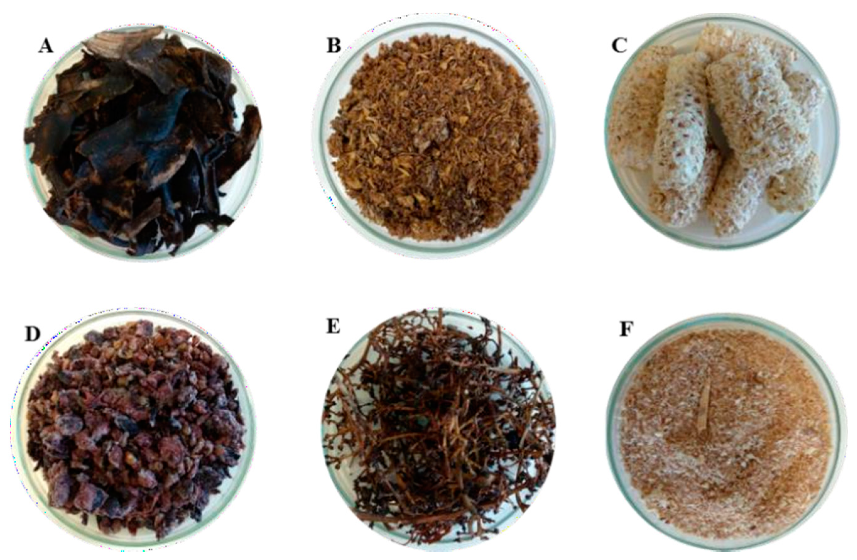 Applsci 11 05516 g001 Applsci 11 05516 g001