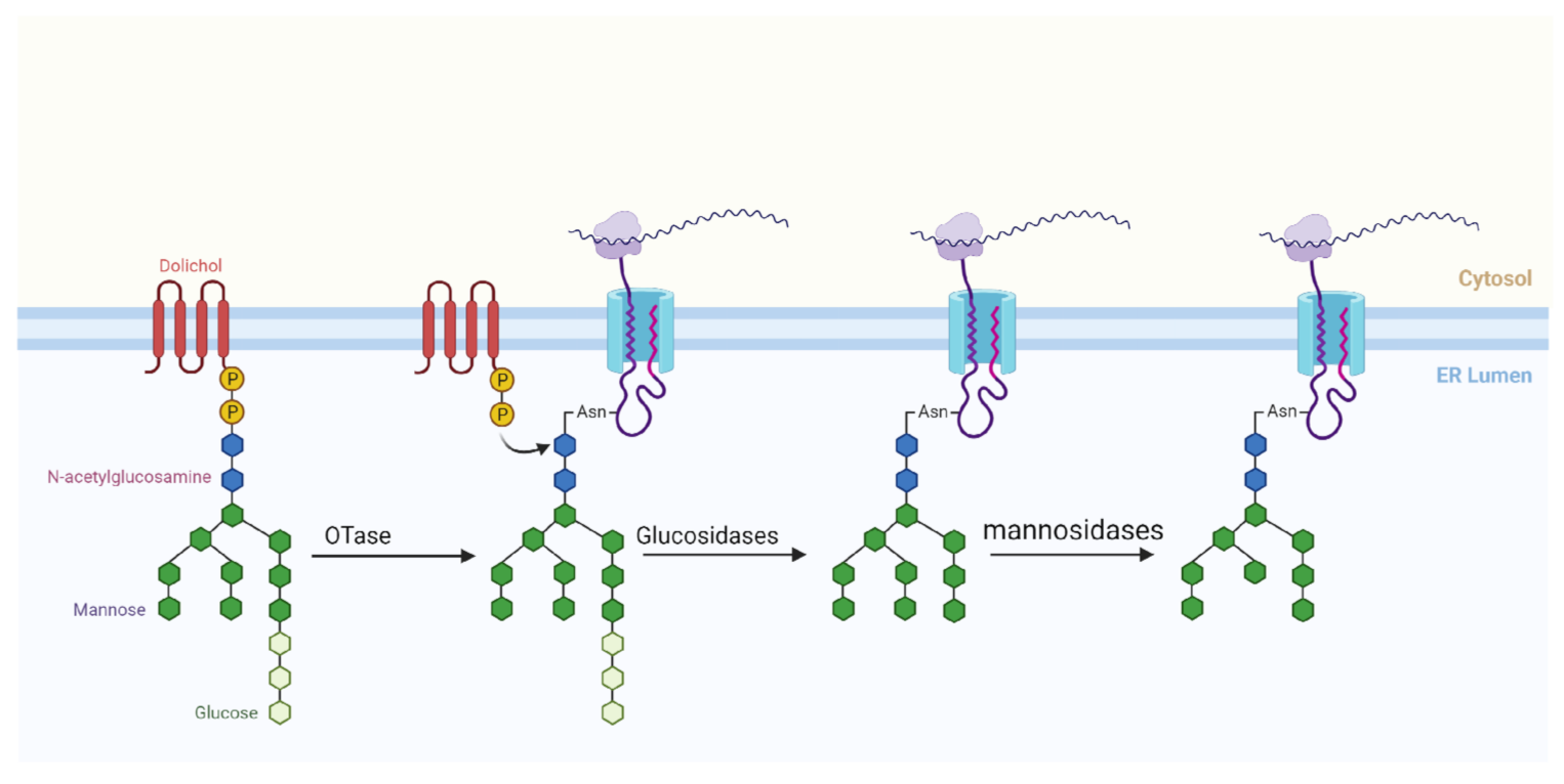 Applsci 11 05532 g001 Applsci 11 05532 g001