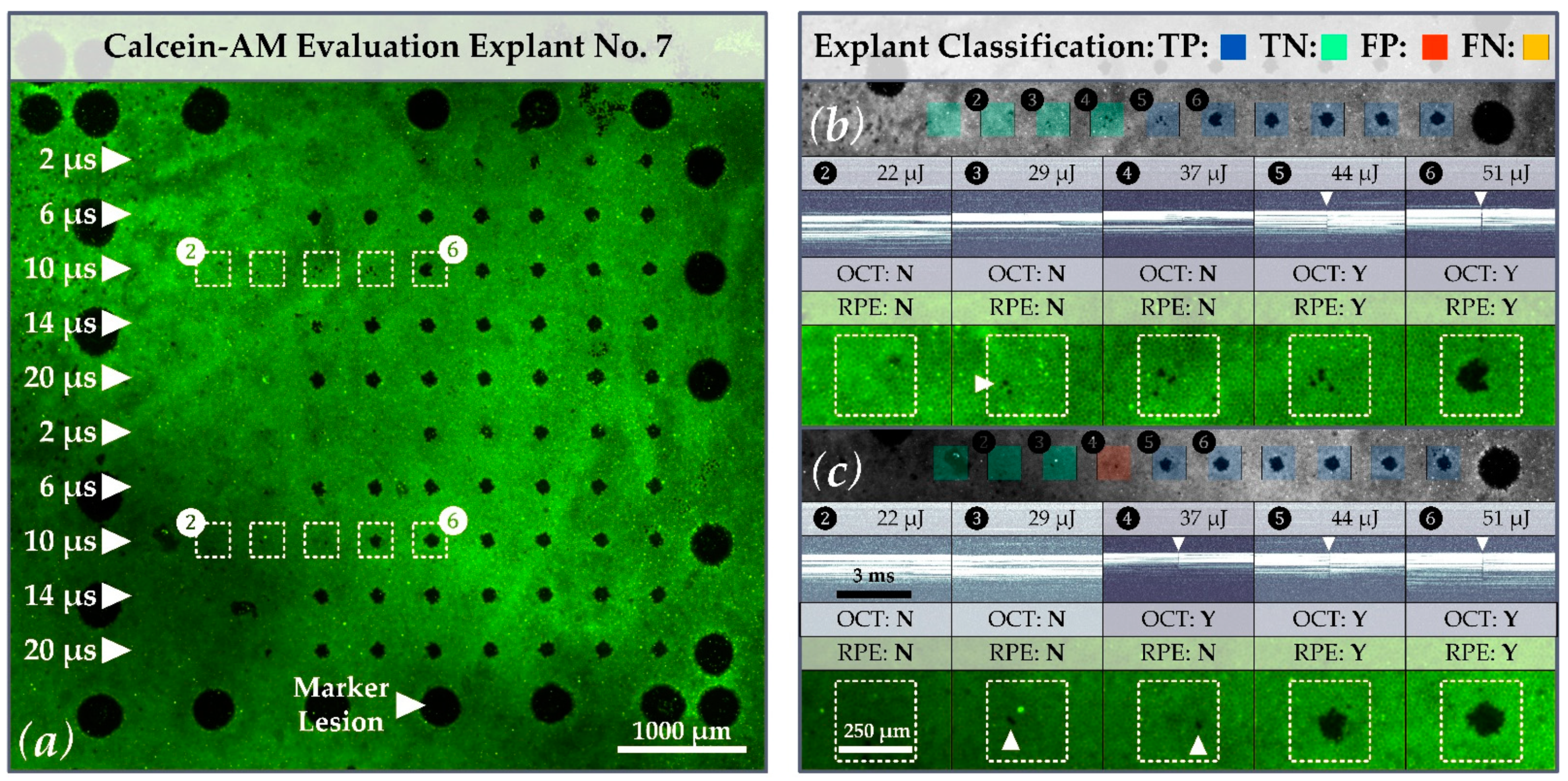 Applsci 11 05535 g008