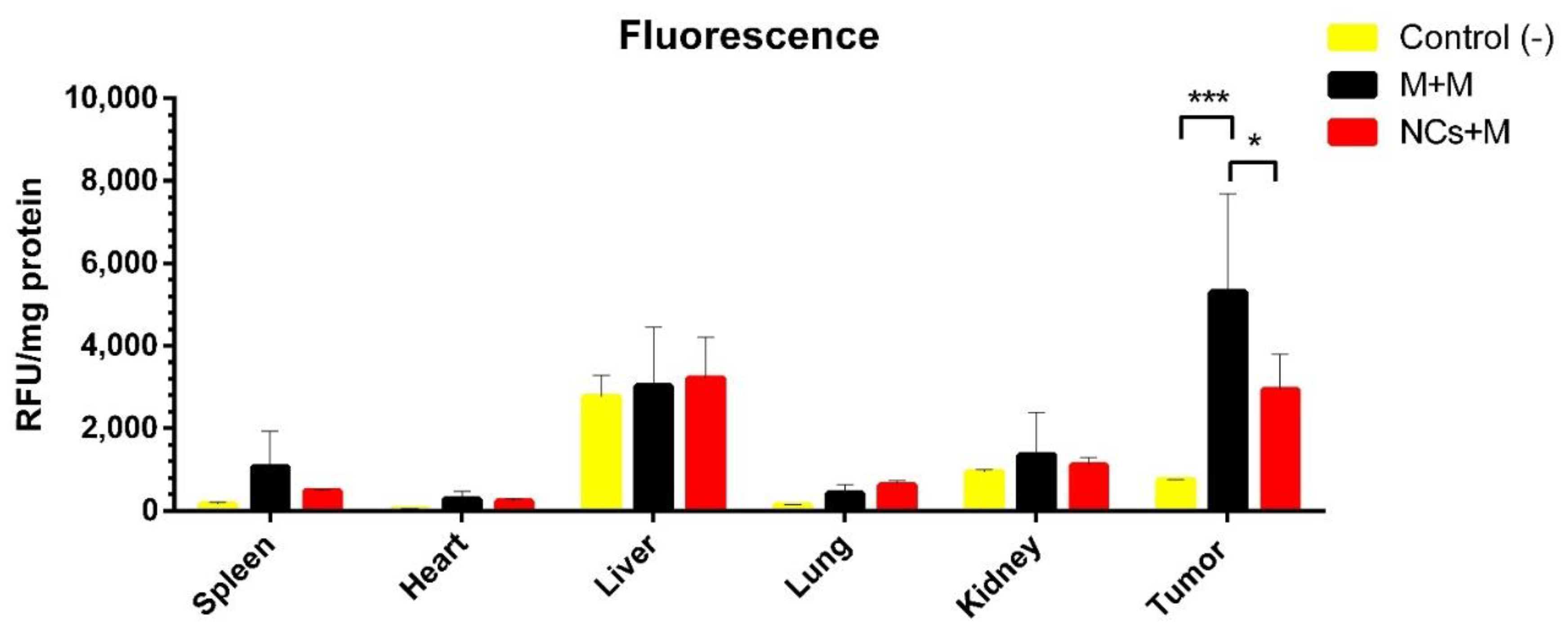 Applsci 11 05544 g005