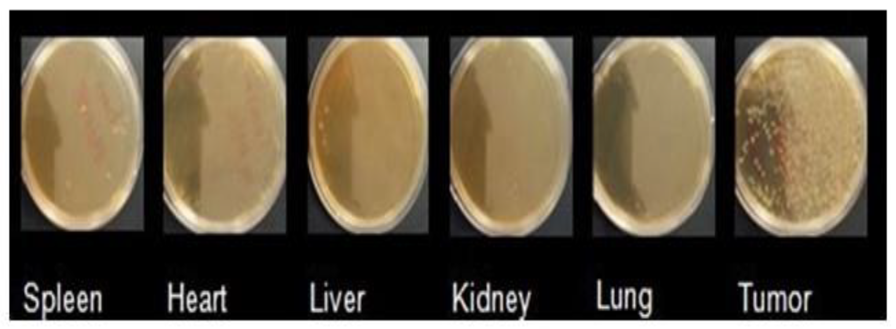 Applsci 11 05544 g007