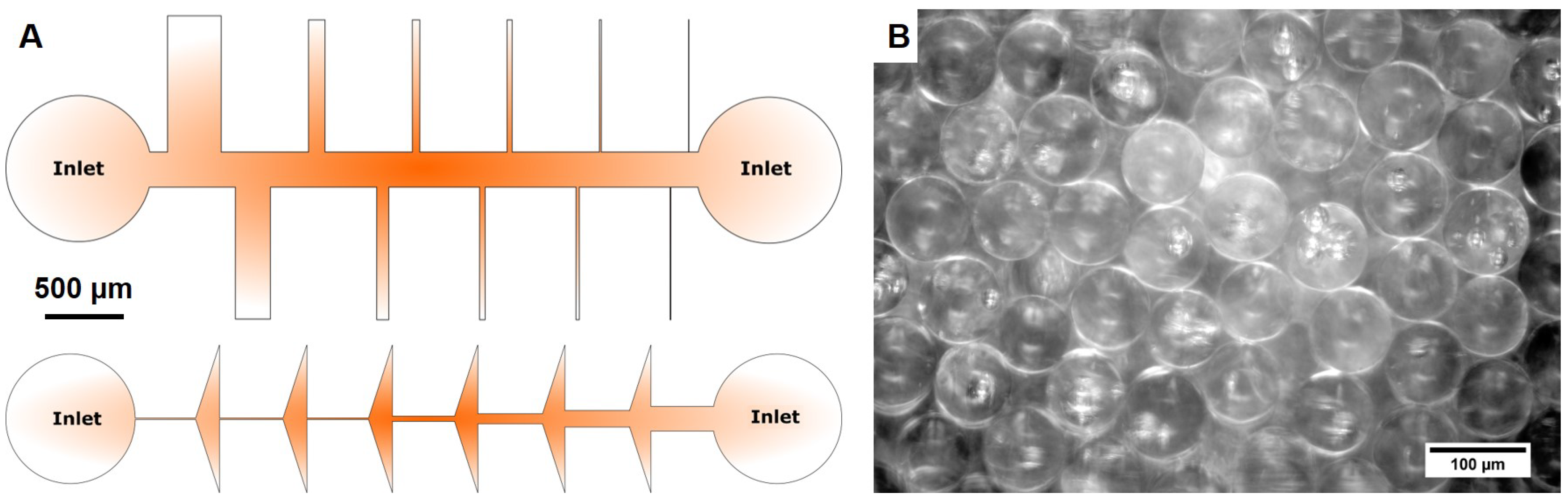 Time-lapse imaging of particle invasion and deposition in porous