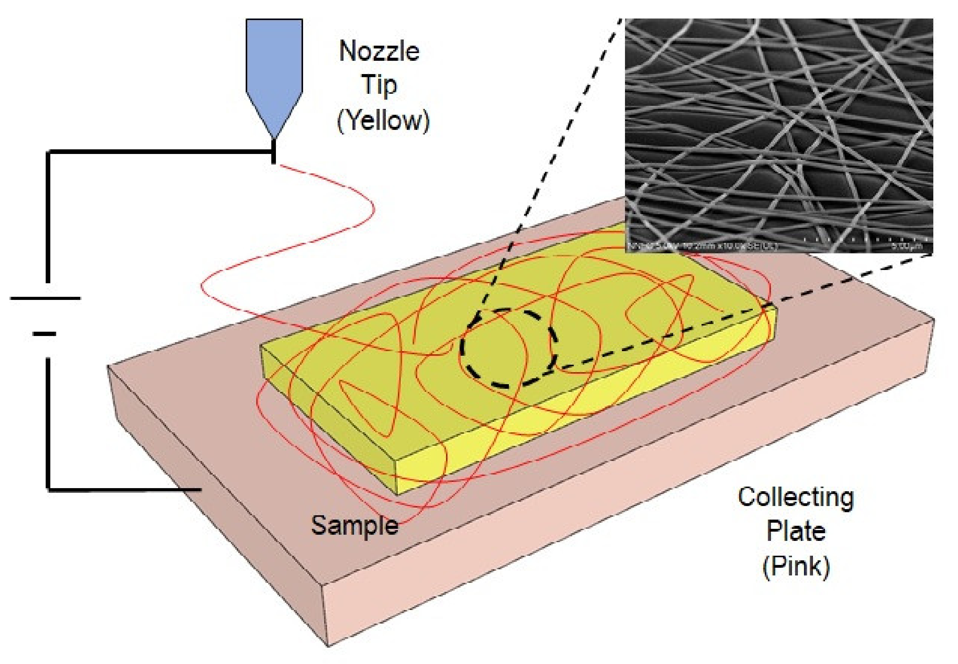 Applsci 11 05565 g001 Applsci 11 05565 g001